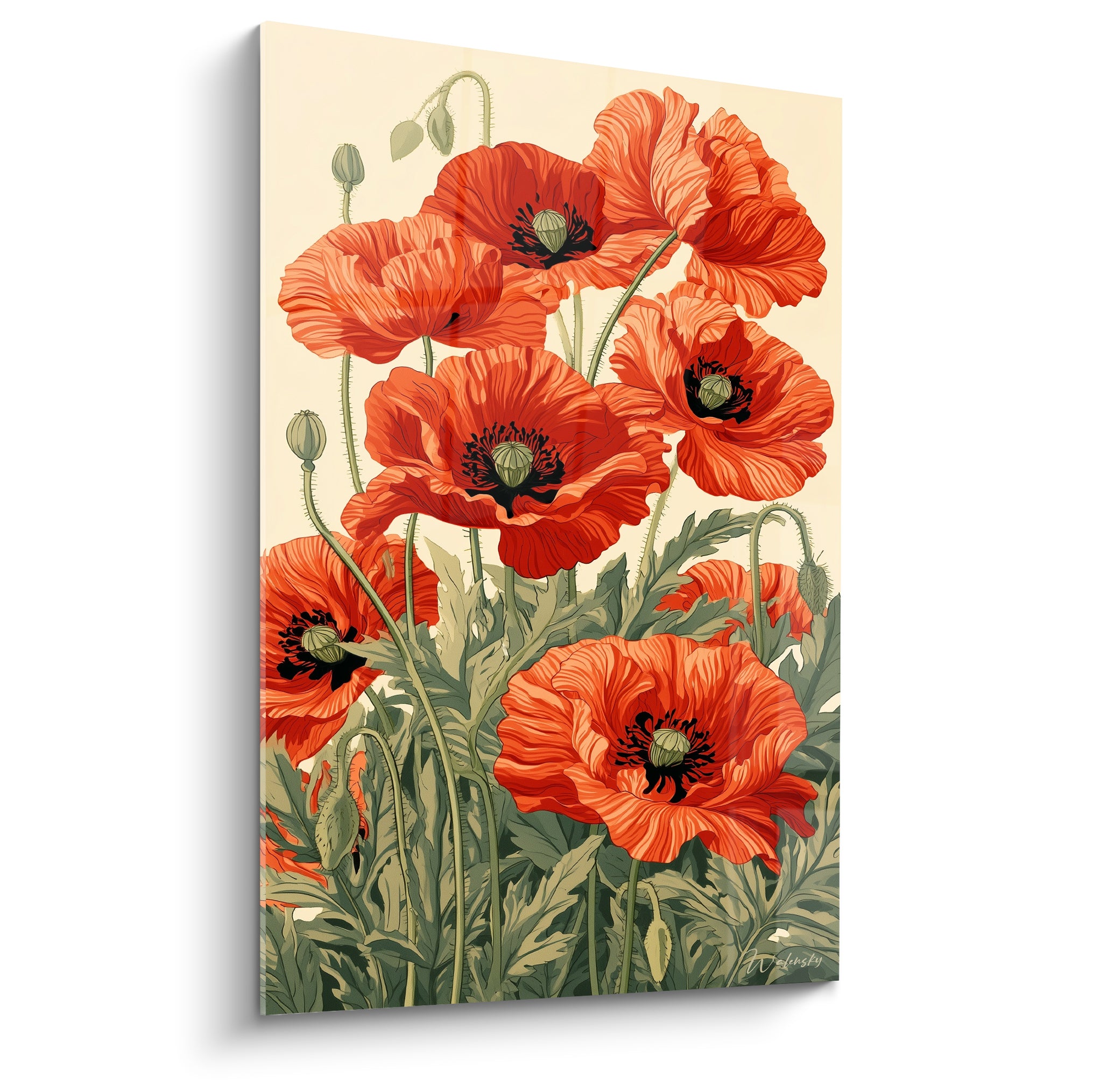 Coquelicots rouge orangé aux cœurs noirs, feuillage vert sauge sur fond ivoire uni