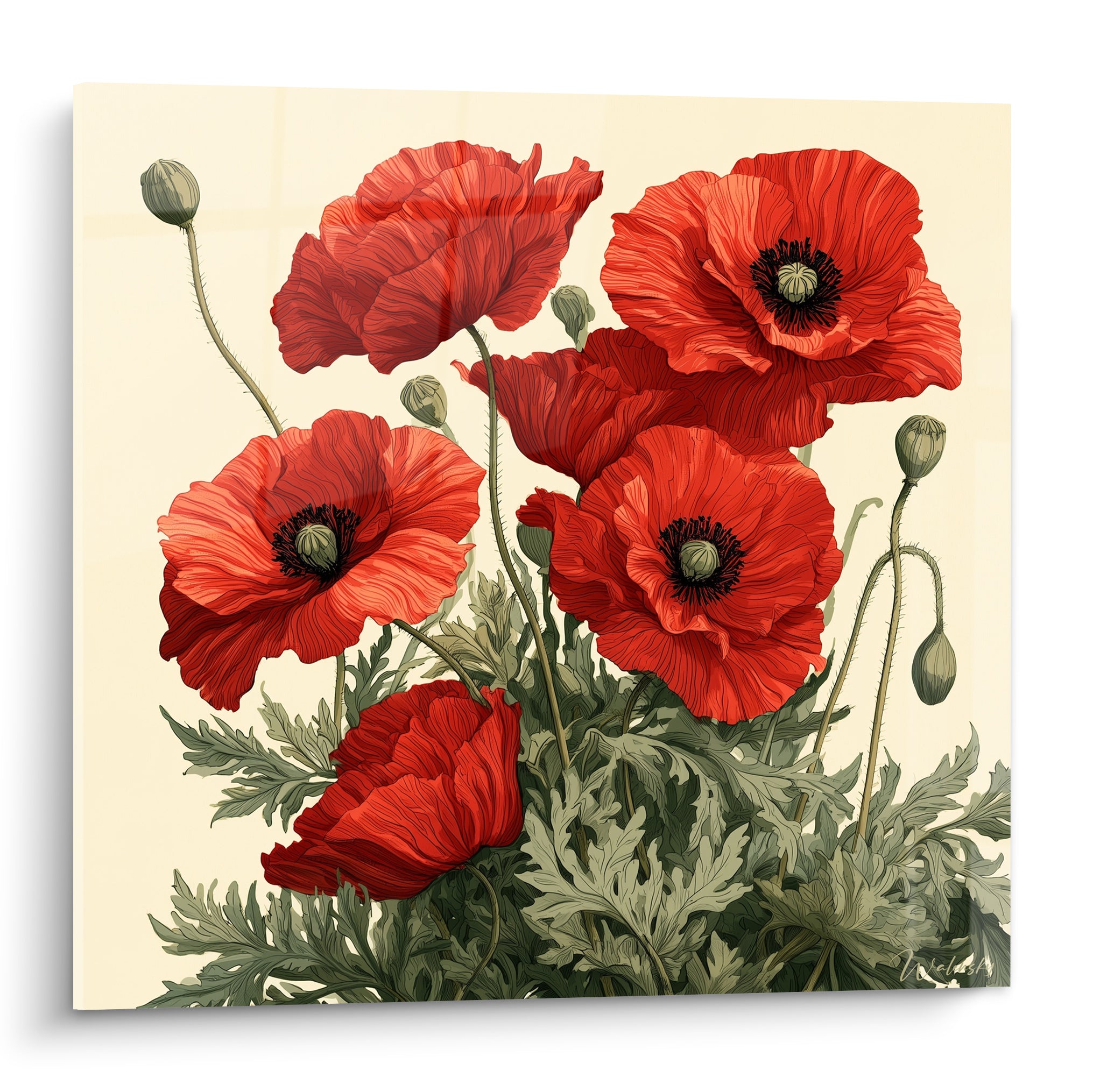 Coquelicots rouges aux pétales veinés et cœurs noirs sur fond ivoire, feuillage vert sauge en bas de toile