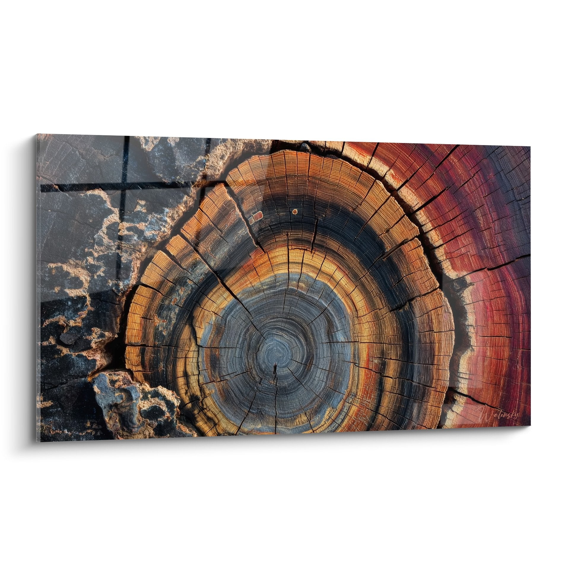 Baumschnitt Stammringe Wachstumsringe orange blau konzentrische Kreise Feng Shui Holz Natur Zen