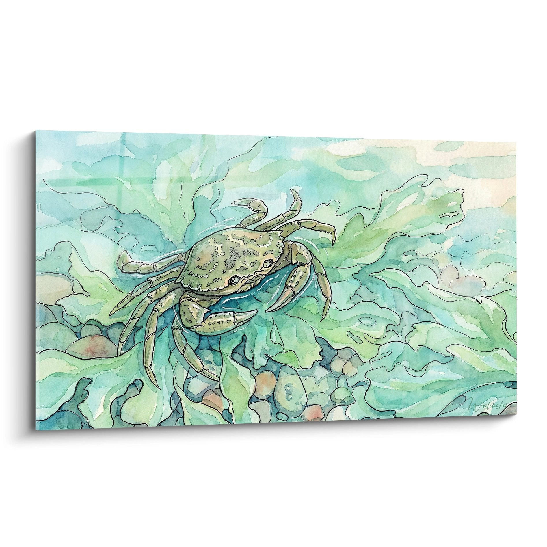 Aquarellgemälde Krabbe in türkisen und grünen Wellen, naturalistische Meereskunst im Stil wissenschaftlicher Illustration