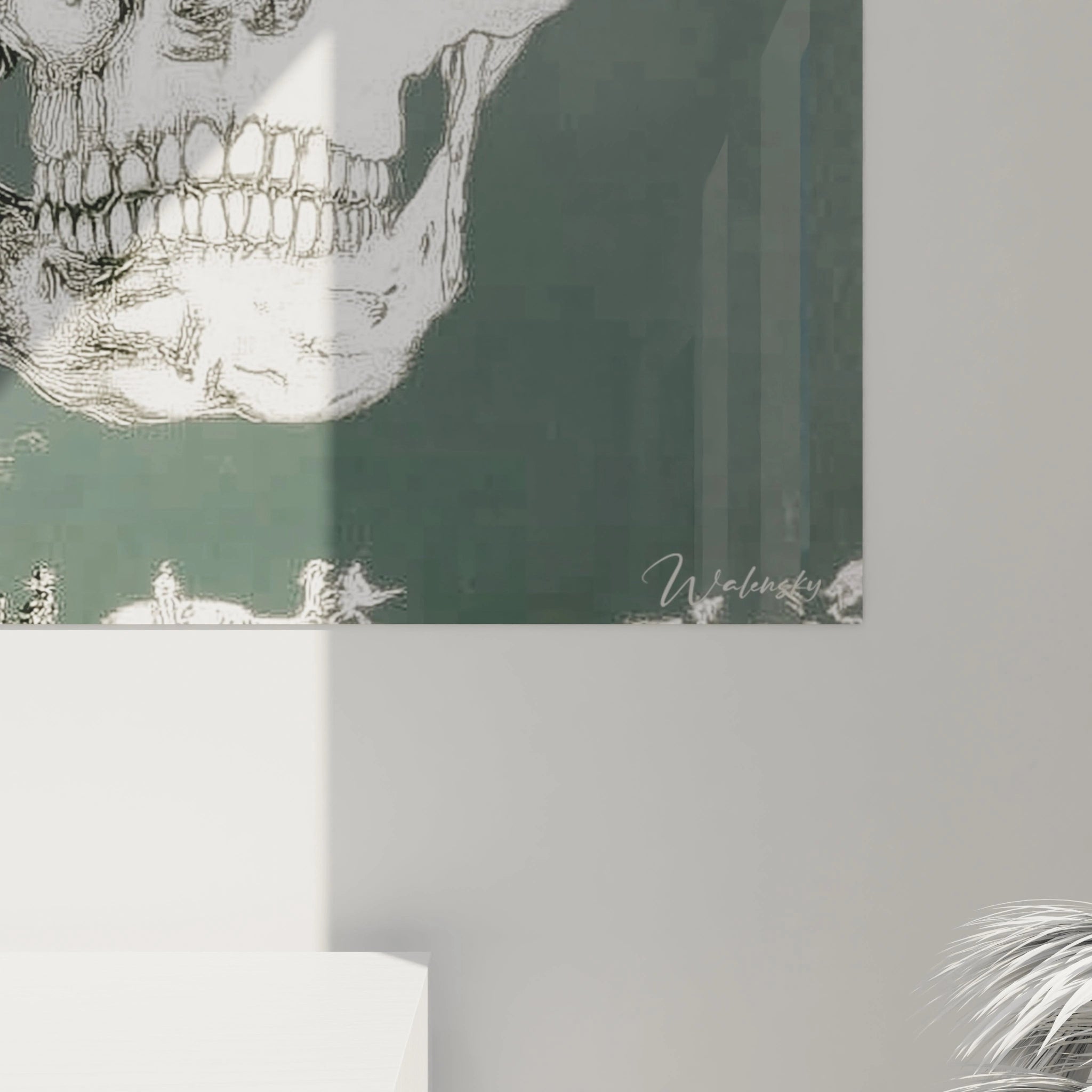 Tableau mural Walensky vert avec illustration de crâne détaillée style vintage tableau crâne memento mori