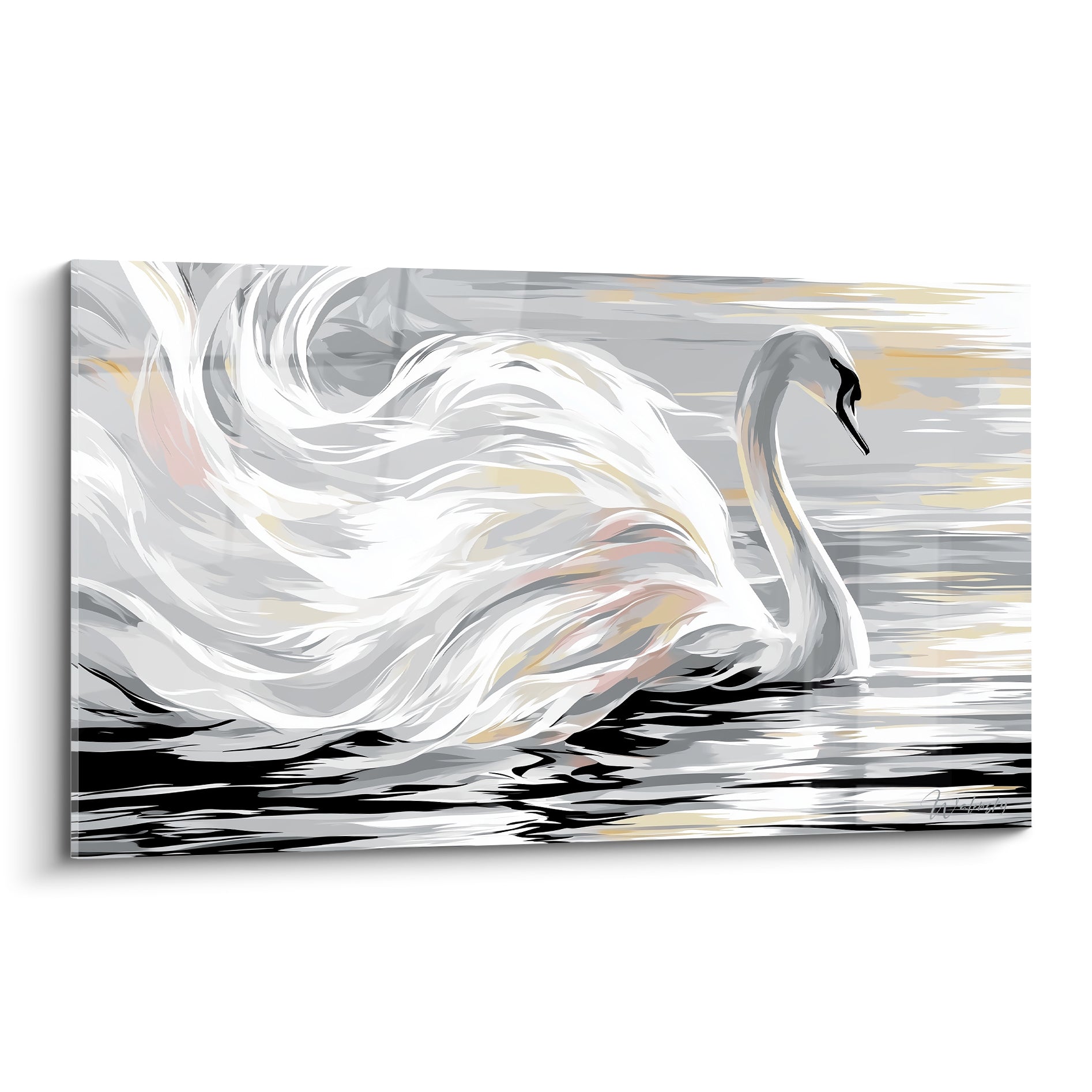 Cygne blanc aux ailes déployées, reflets dorés et gris argenté sur eau sombre