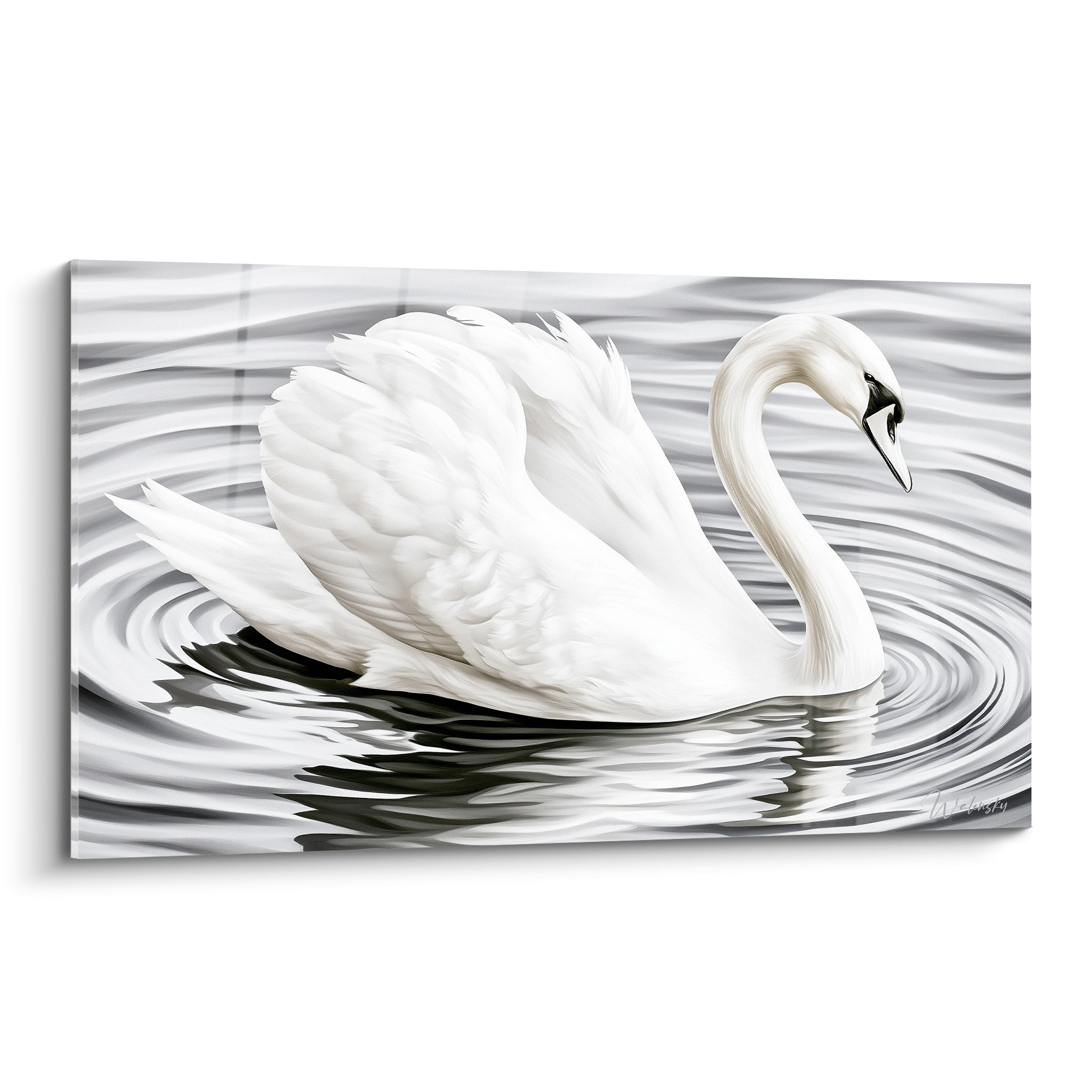 Cygne blanc au cou gracieux flottant sur une eau grise ondulée aux reflets argentés