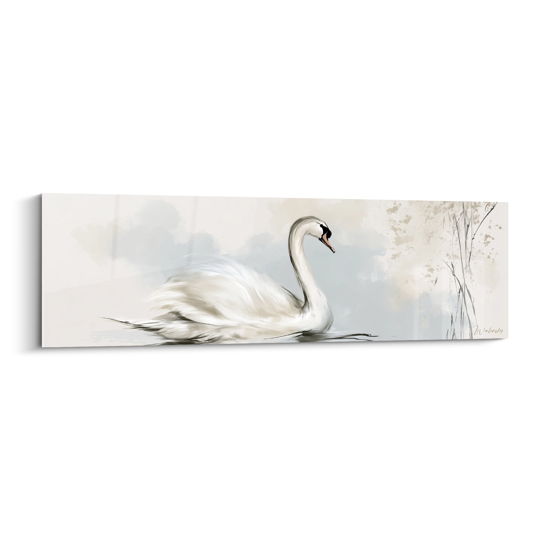 Cygne blanc glissant sur une eau grise, plumage vaporeux et roseaux beige en arrière-plan