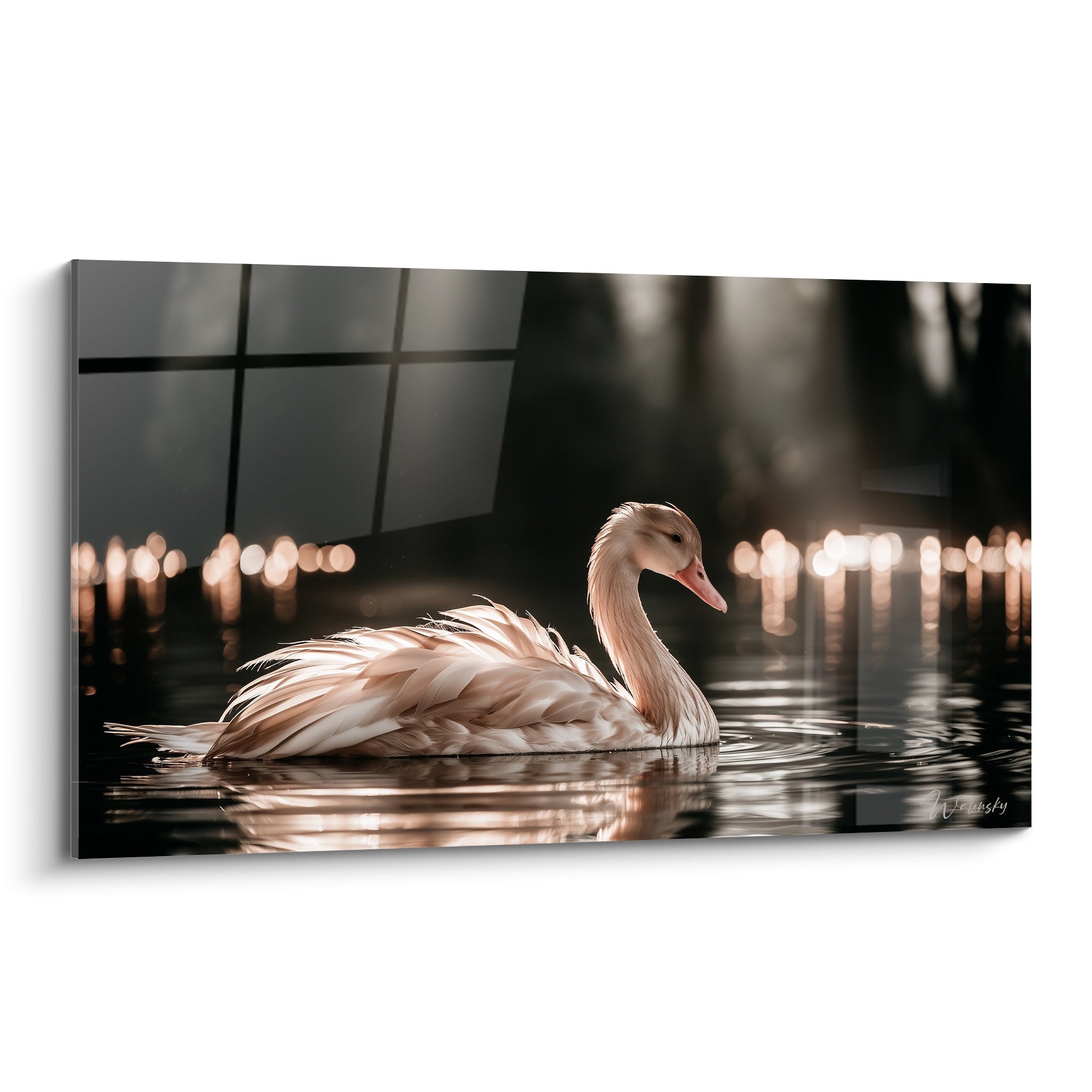 Cygne blanc au bec rosé flottant sur une eau anthracite parsemée de lumières dorées