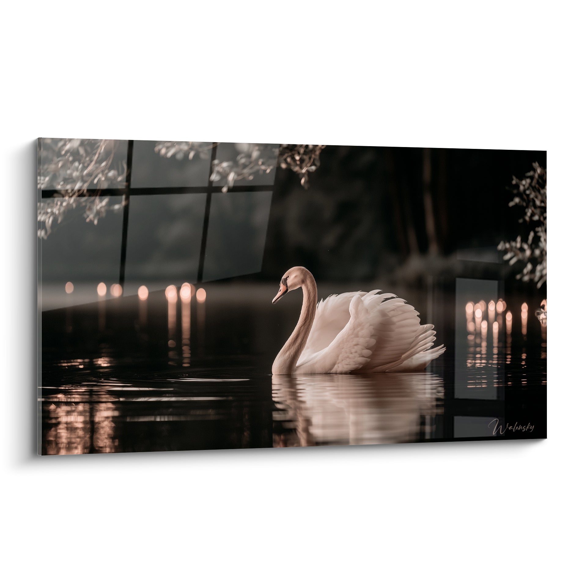 Cygne blanc au cou gracieux flottant sur une eau anthracite bordée de lumières dorées