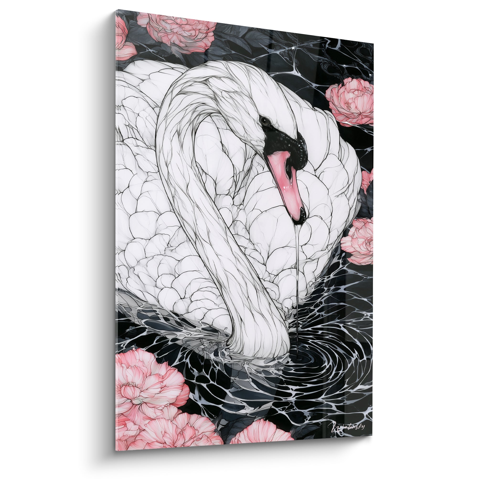 Cygne blanc au cou incliné vers une eau anthracite, entouré de pivoines roses délicates