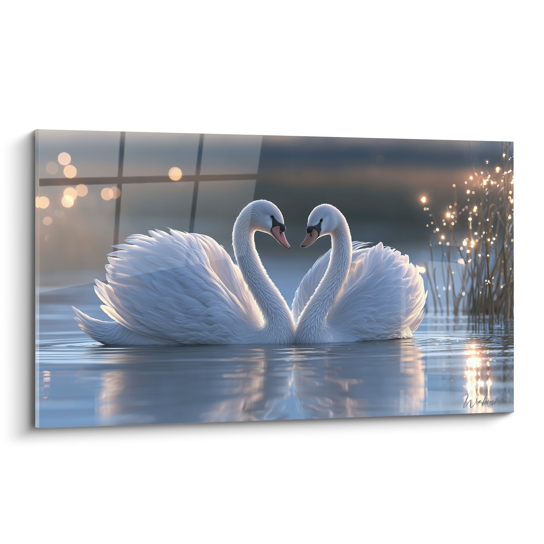 Cygnes blancs formant un cœur, becs orangés, reflets dorés sur eau bleu-gris scintillante