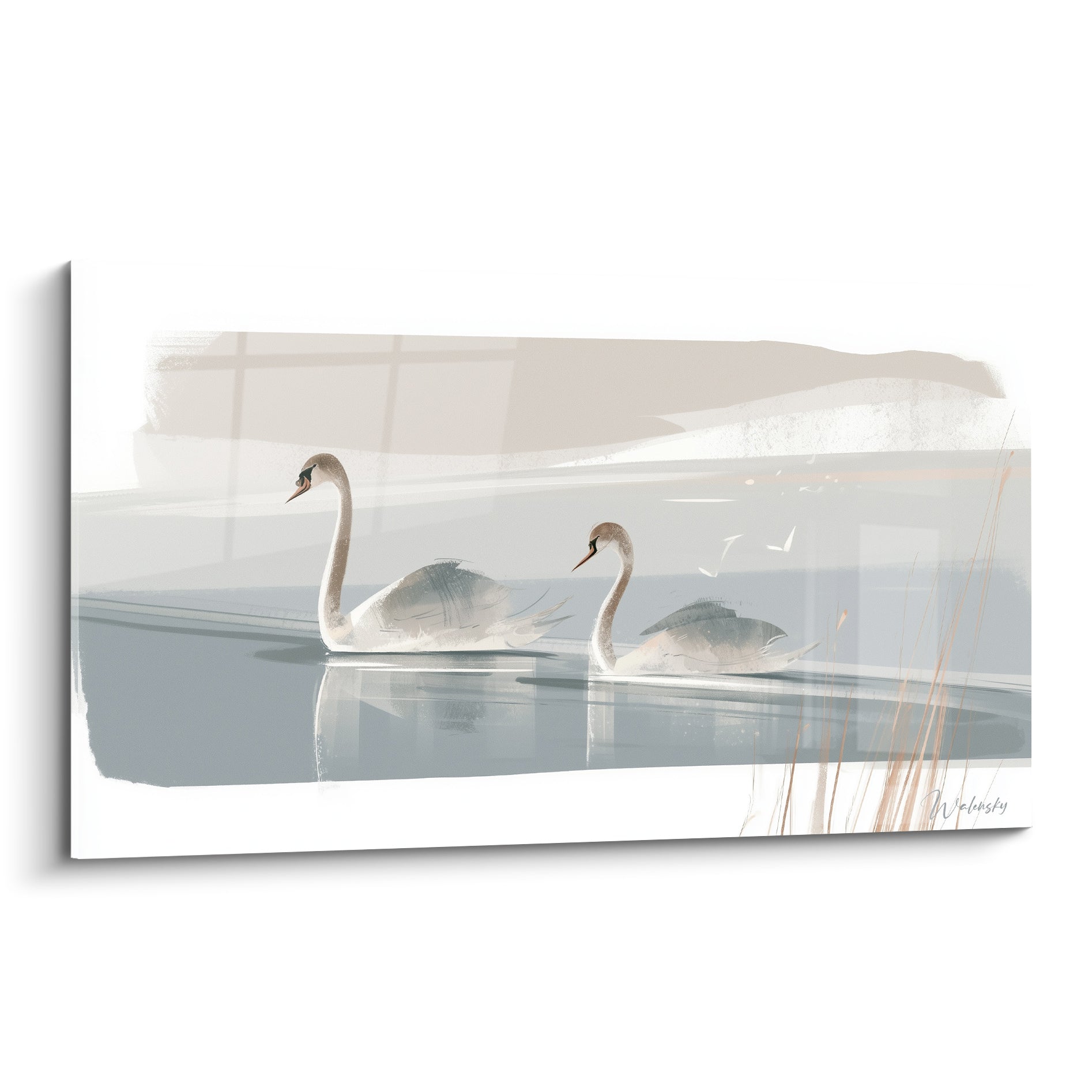 Cygnes glissant sur une eau grise, plumage beige et gris, style aquarelle apaisant