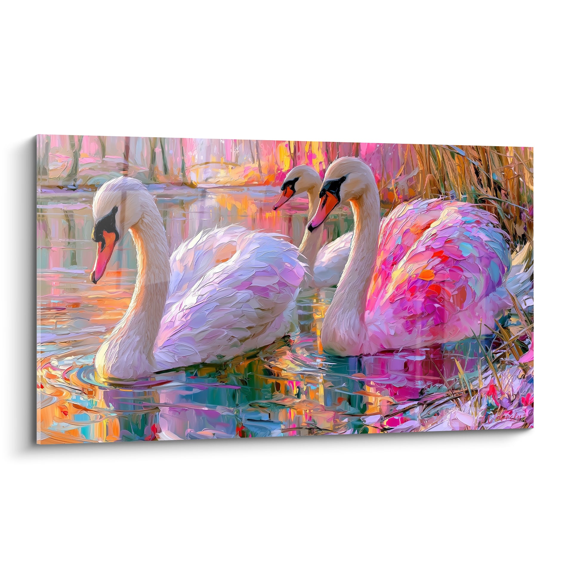 Cygnes aux plumes roses et turquoise glissant sur une eau reflétant des tons dorés