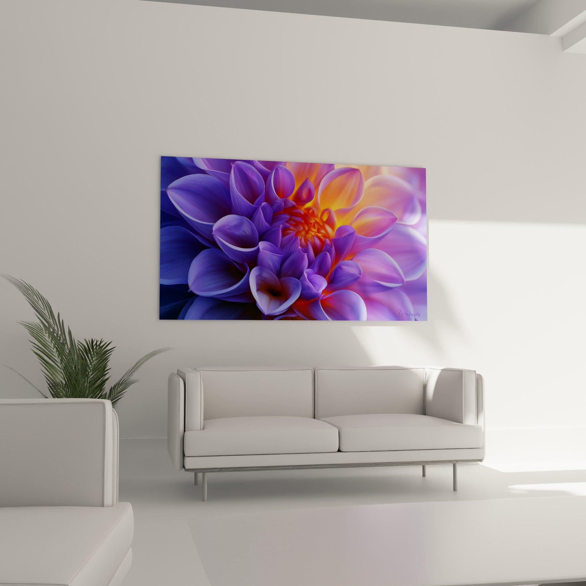 Corolle mauve et centre doré du dahlia au-dessus d'un canapé dans un salon lumineux