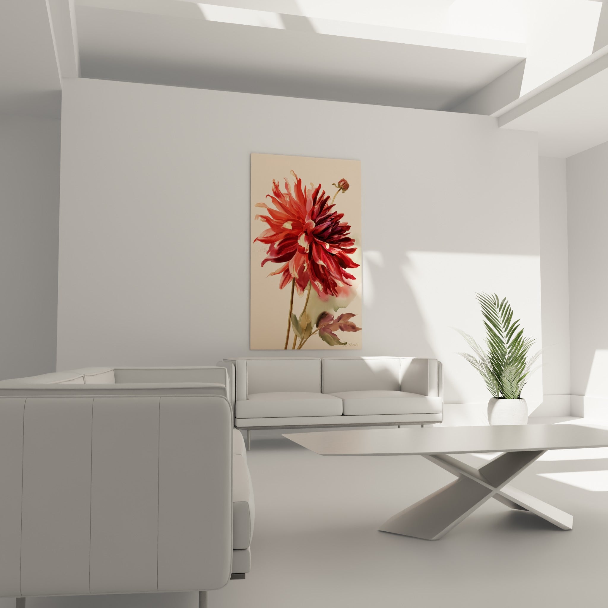 Corolle de dahlia rouge vif et bordeaux profond au-dessus d'un canapé dans un salon lumineux