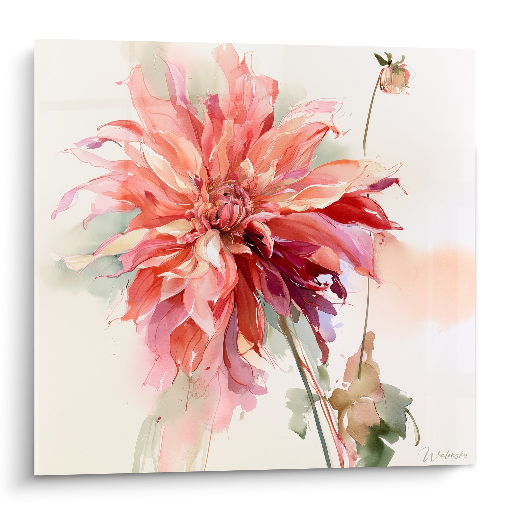 Dahlia corail et bordeaux aux pétales déployés, peint à l'aquarelle sur fond ivoire