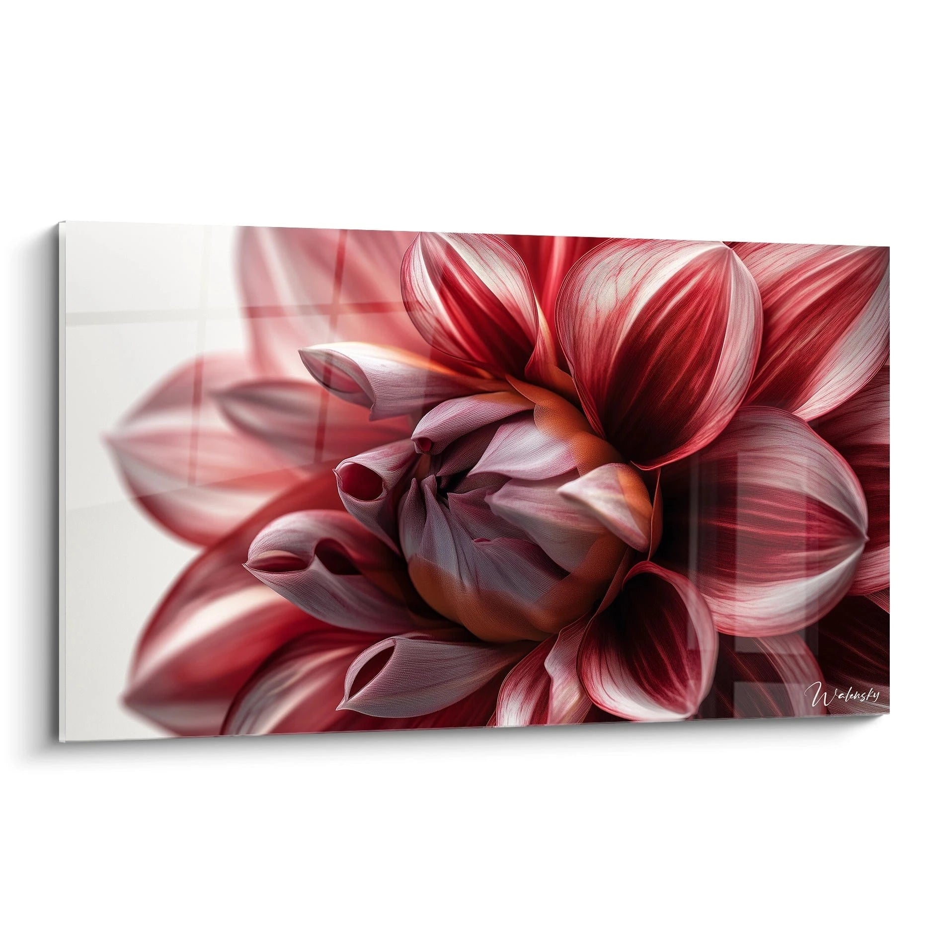 Un tableau Dahlia nature représentant une fleur en gros plan, avec des pétales rouges et blancs, des nuances d'orange au centre, et une texture lisse avec des dégradés subtils et des reflets lumineux.