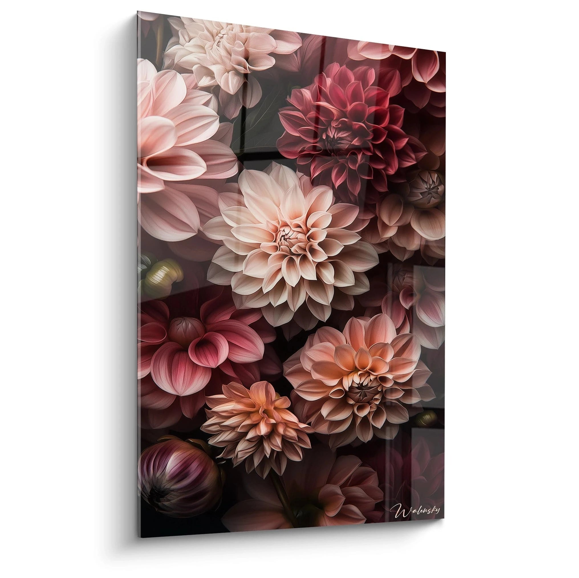 Un tableau Dahlia nature montrant des fleurs détaillées en dégradés de rose, rouge et beige, avec un fond sombre contrastant et des textures lisses mettant en valeur les pétales.