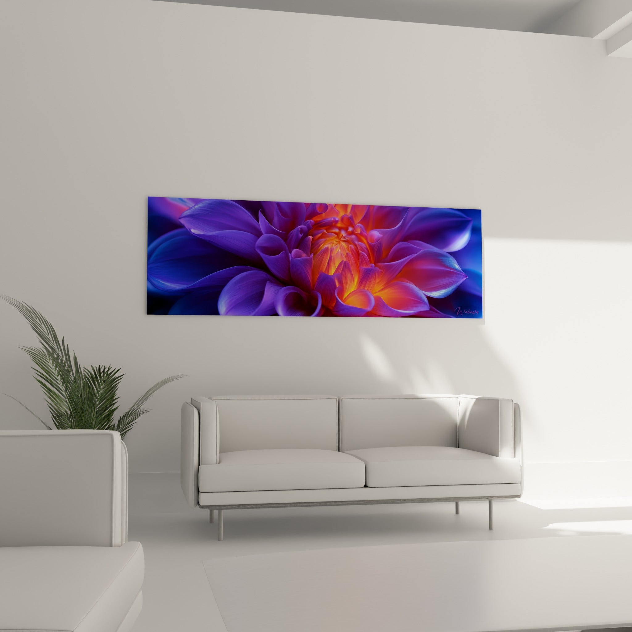 Pétales Dahlia bleu nuit et violets illuminés d'orangé, disposés au-dessus d'un canapé dans un salon lumineux