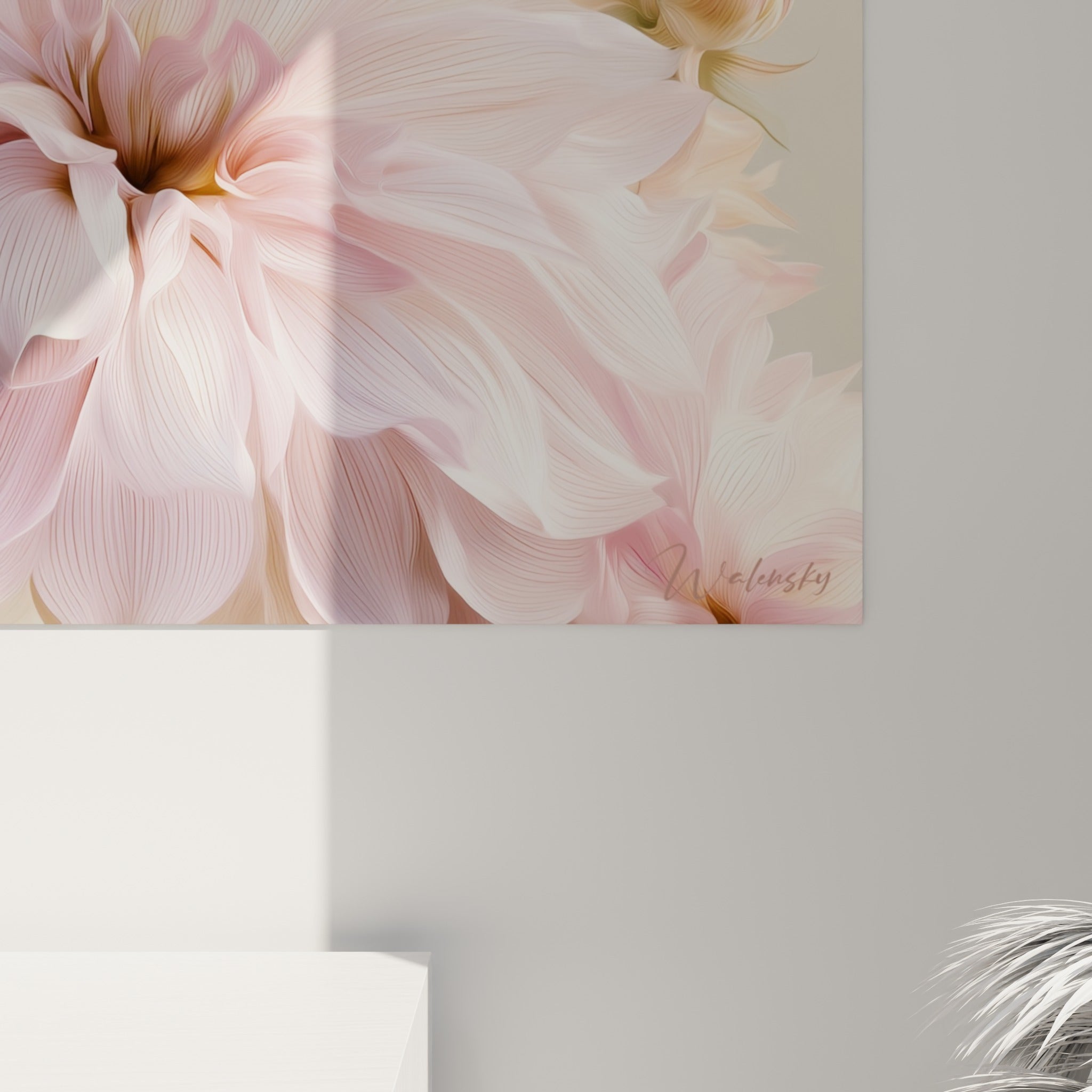 Détail des pétales de dahlia où se mêlent nuances rose pâle, blanc nacré et reflets dorés
