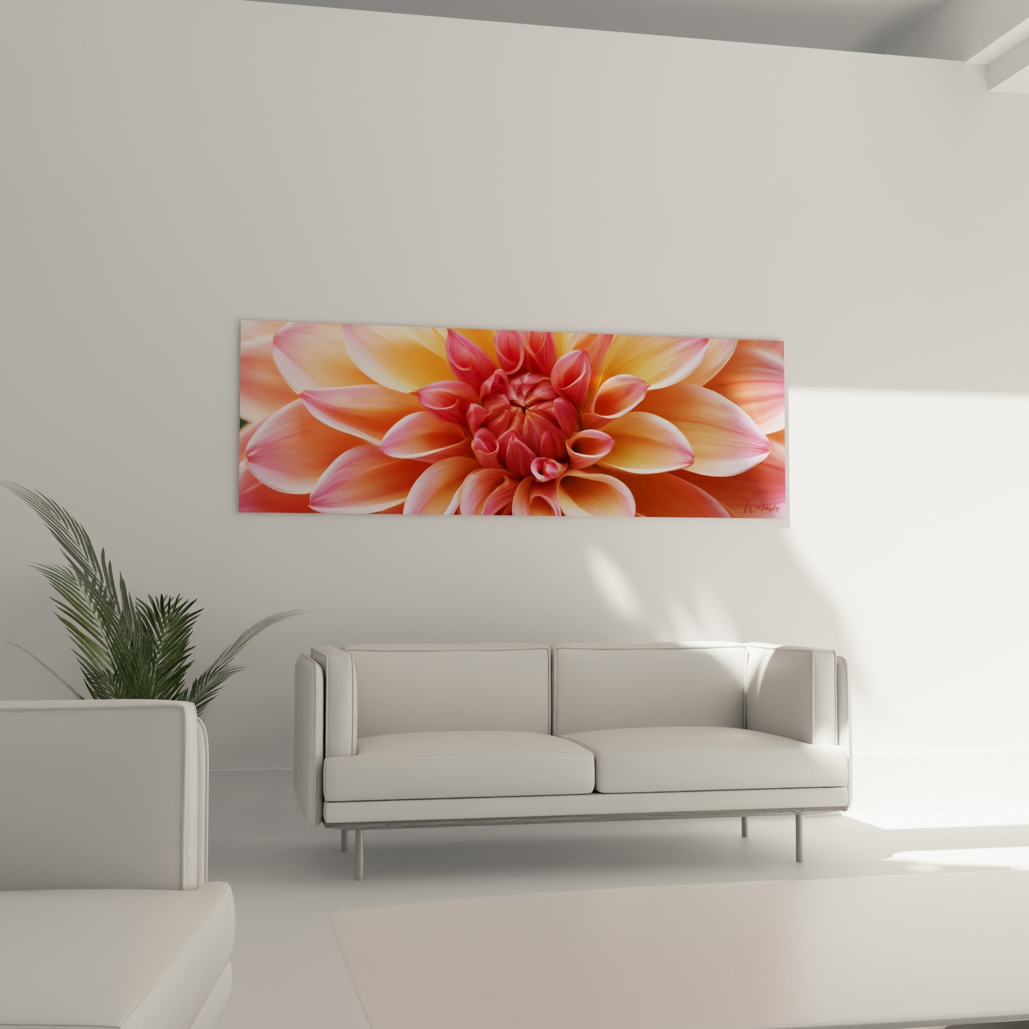 Pétales de dahlia orangés et roses au-dessus d'un canapé dans un salon lumineux