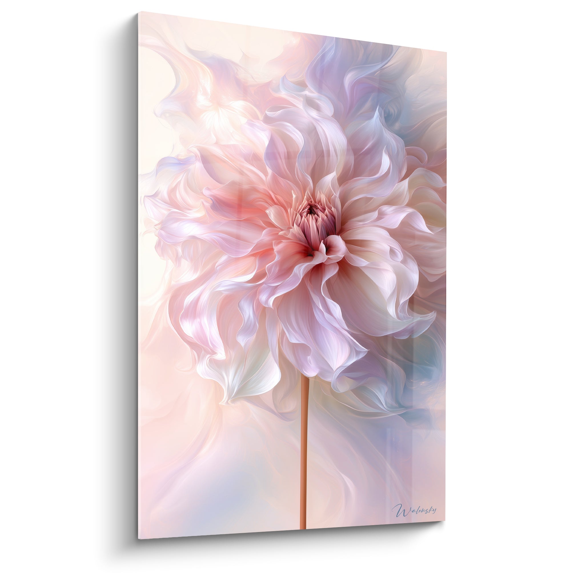 Dahlia rose et bleu pastel aux pétales vaporeux déployés, tige orangée, fond ivoire lumineux