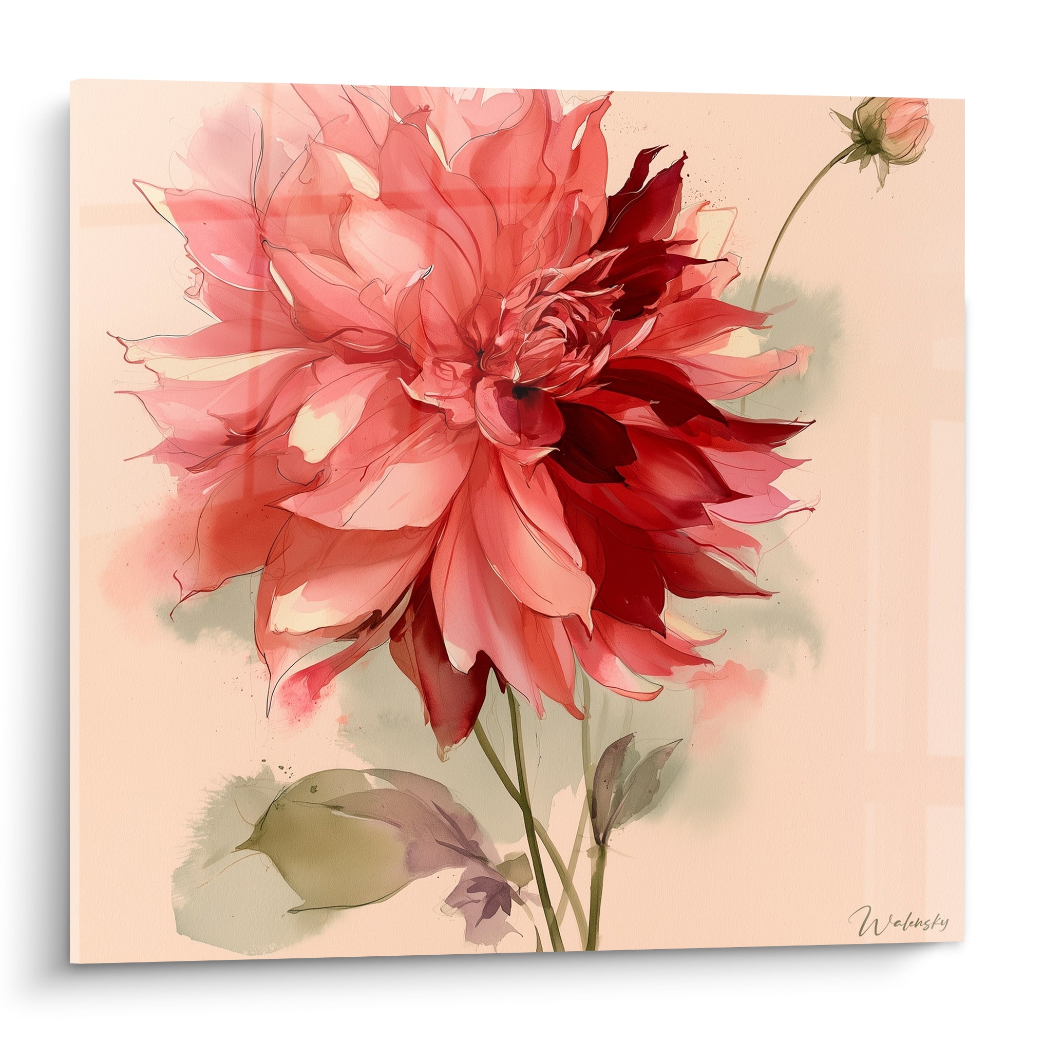 Dahlia rose et rouge bordeaux entièrement ouvert, pétales détaillés sur fond rosé pâle