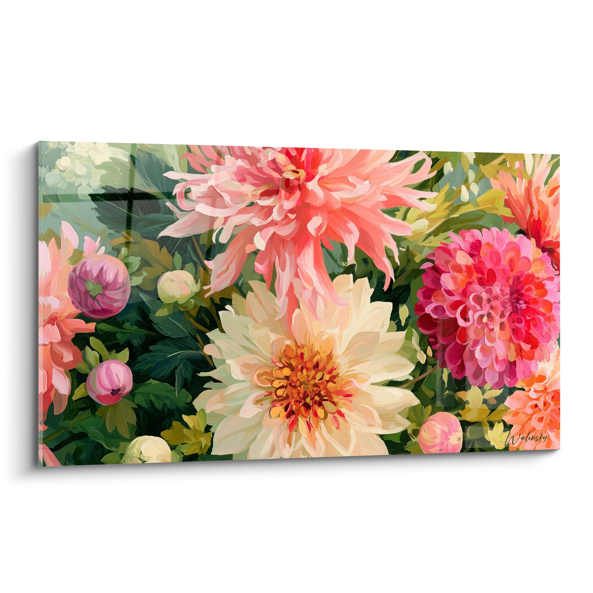 Dahlias crème, corail et magenta aux pétales déployés sur fond de feuillage vert dense