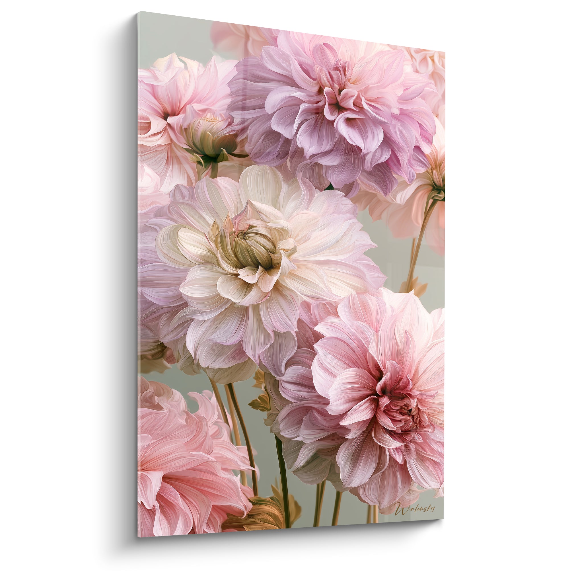 Dahlias roses et blancs aux pétales denses, composition florale réaliste sur fond vert sauge doux
