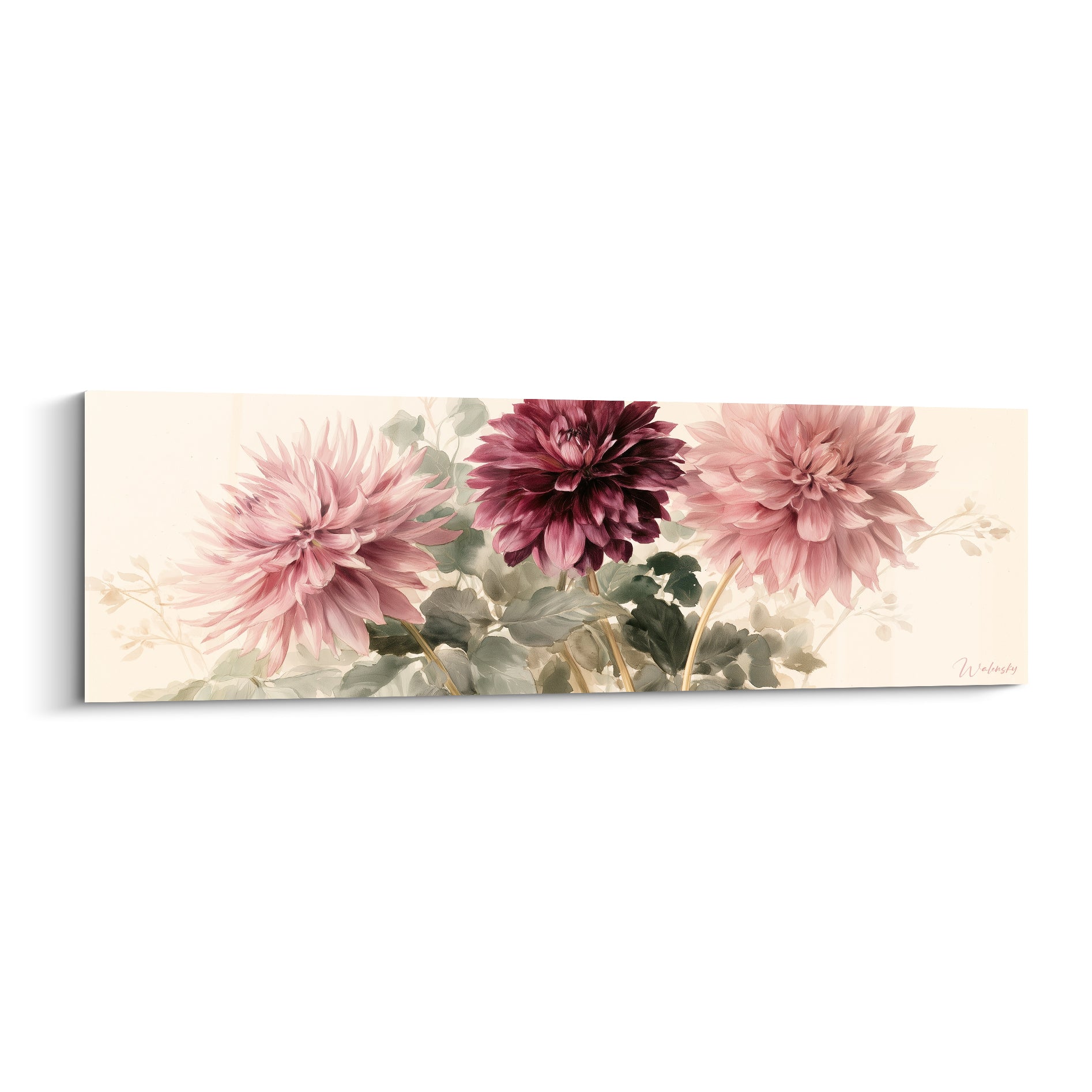 Dahlia rose poudré et pourpre bordeaux en pleine floraison sur fond ivoire, style aquarelle