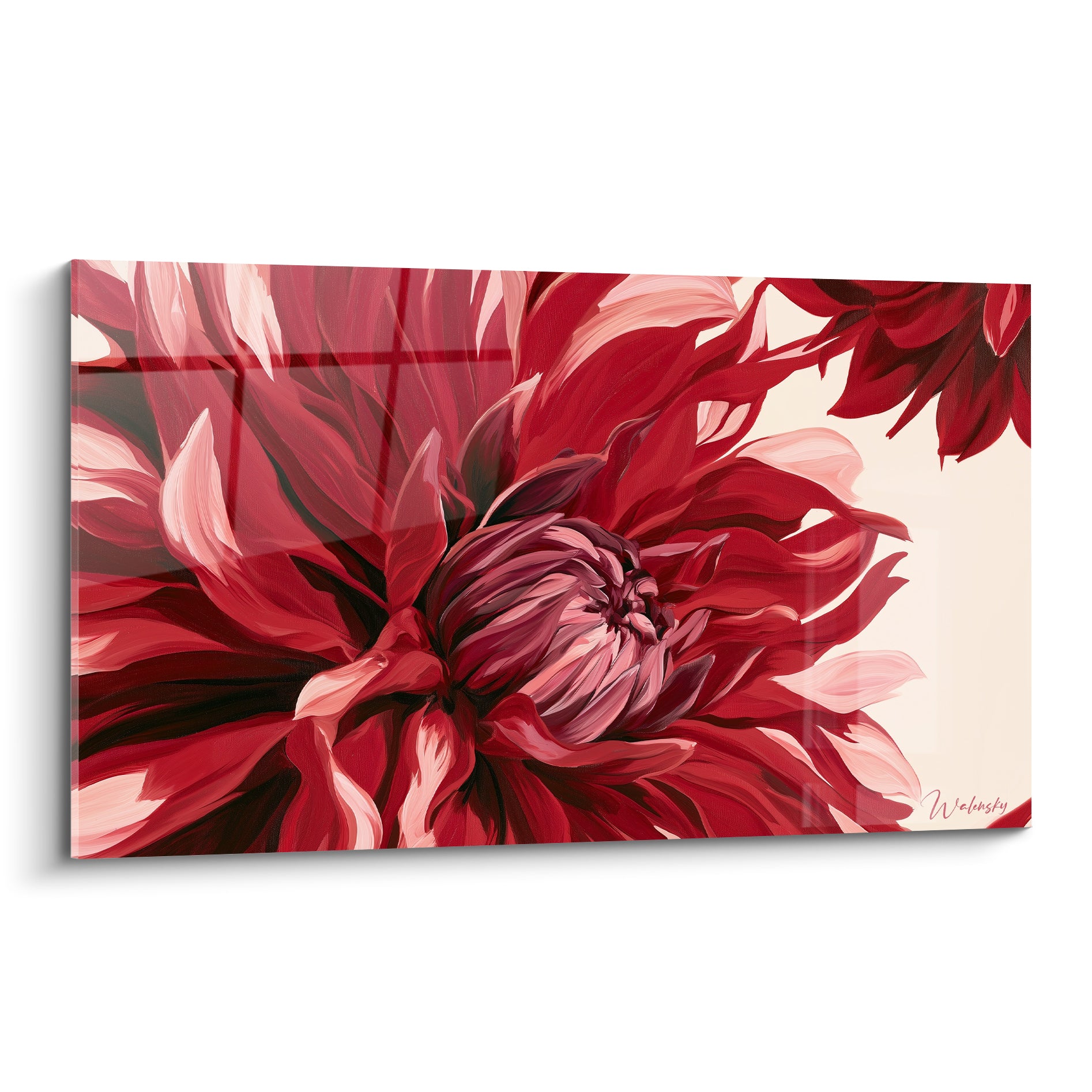 Dahlia aux pétales rouge bordeaux et rose pâle peints en gros plan sur fond ivoire