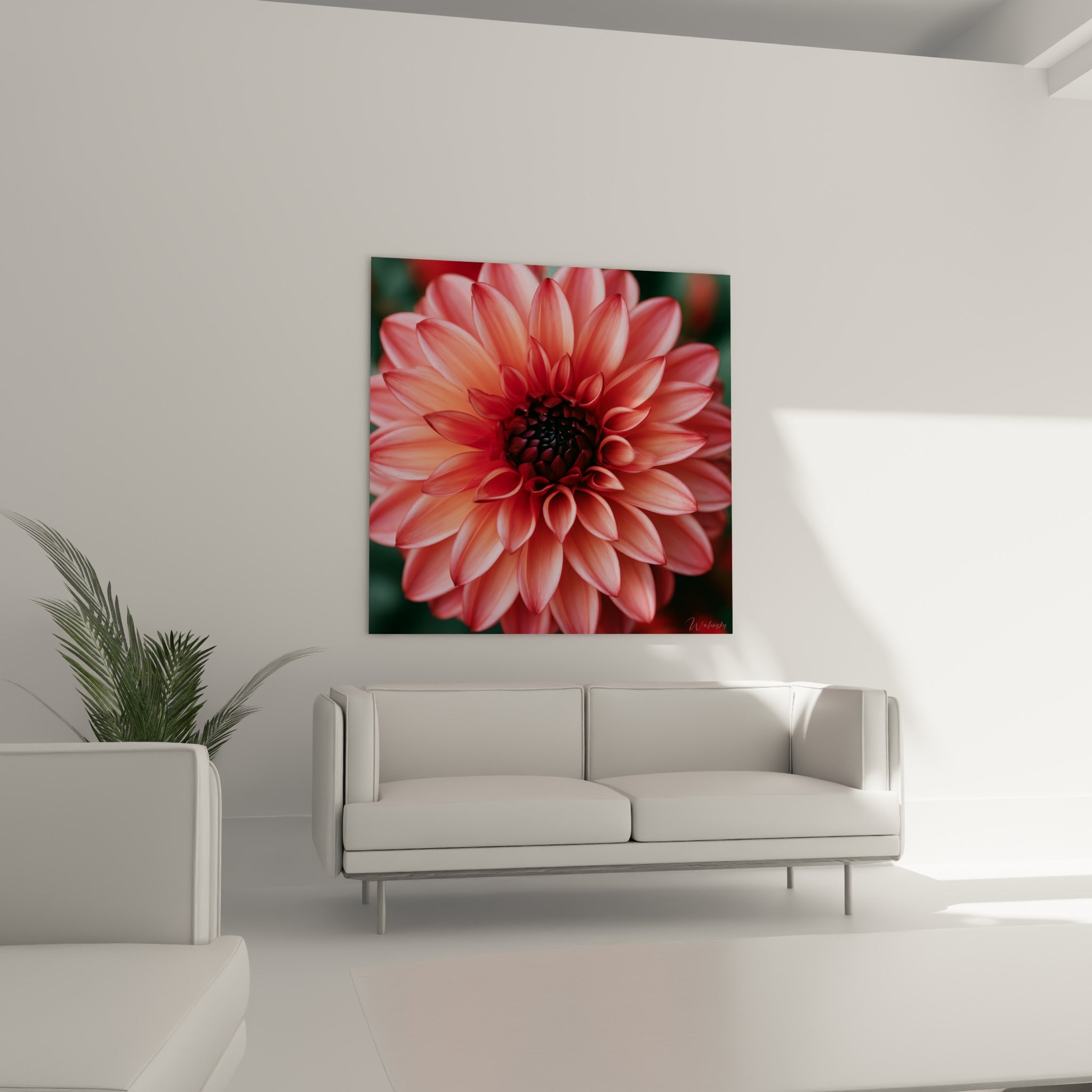 Fleur de dahlia bordeaux et corail accrochée au-dessus d'un canapé dans un salon lumineux