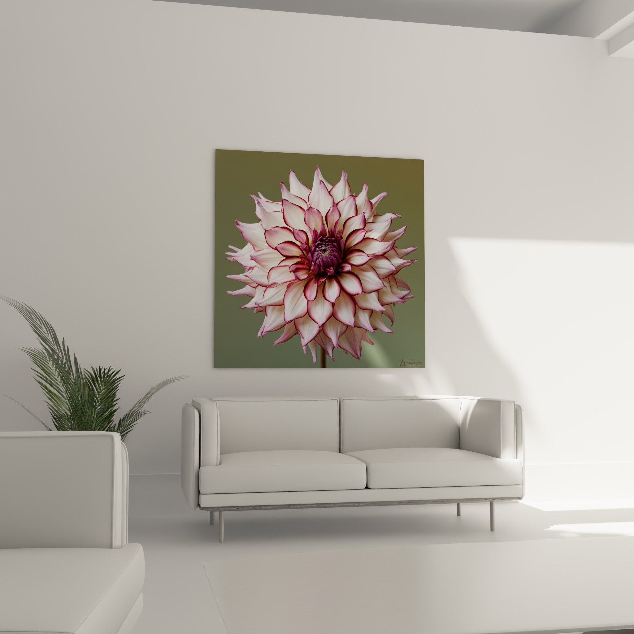 Fleur de dahlia pourpre et blanche aux nuances délicates, au-dessus d'un canapé dans un salon lumineux