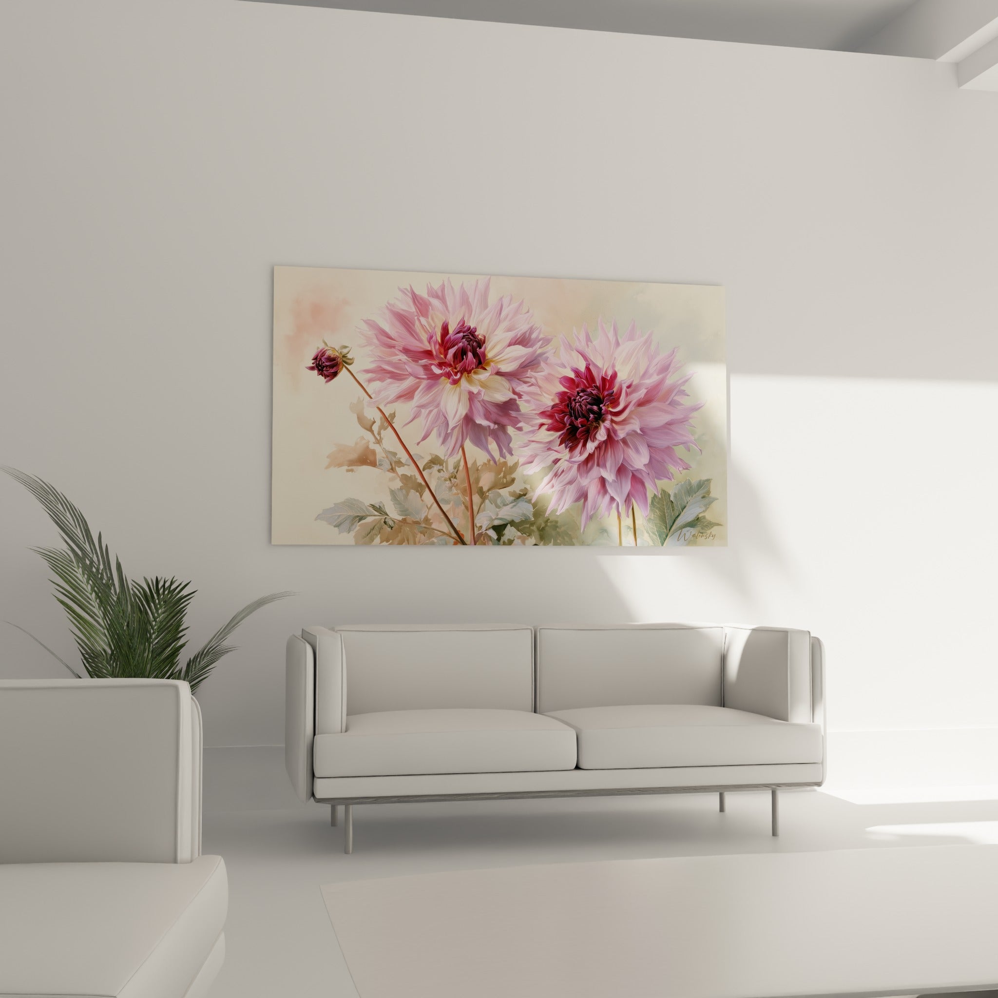 Pétales de dahlia rose pâle et cœur pourpre profond, suspendus au-dessus d'un canapé dans un salon lumineux
