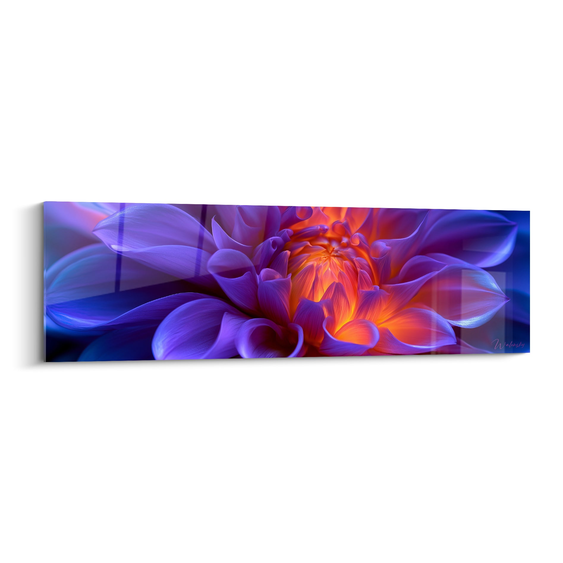 Dahlia violet et bleu marine au cœur orangé incandescent, pétales détaillés en gros plan