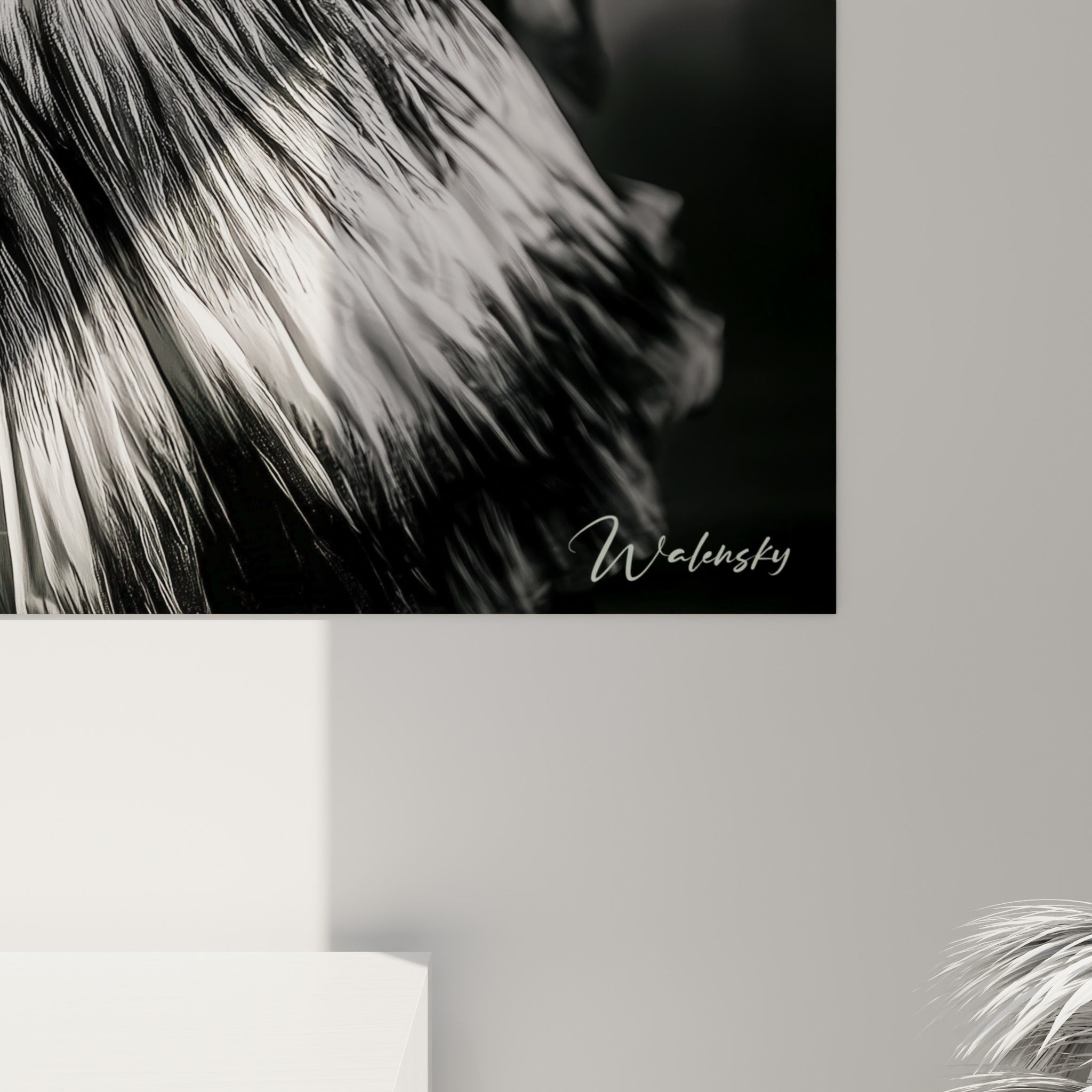 Grain argentique visible sur les plumes blanches et le collier de perles du danseur africain