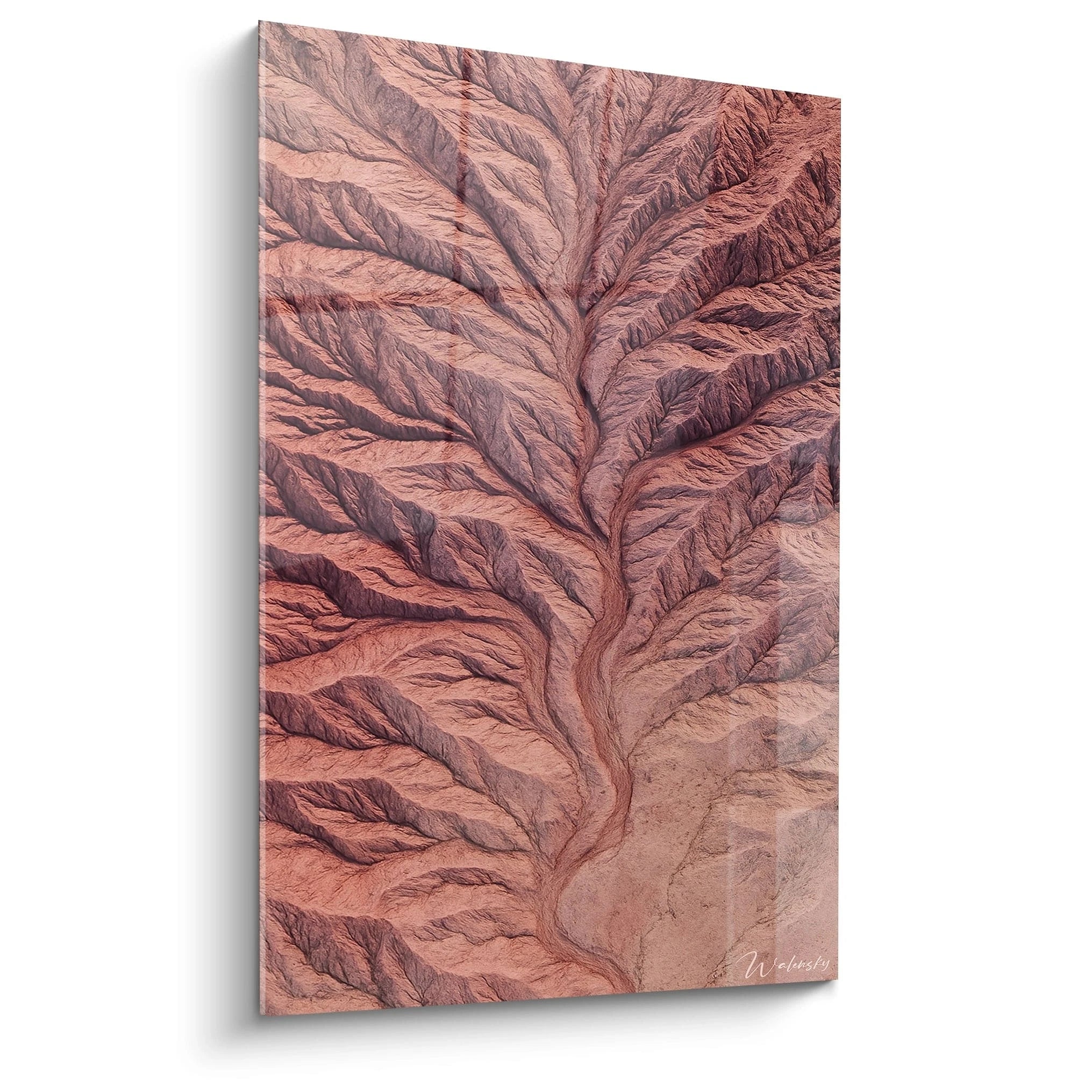 Un tableau vue aérienne montrant un réseau de ravins ramifiés dans un paysage désertique, avec des teintes terracotta, marron et beige. Les textures rugueuses et les ombres naturelles créent un effet de relief saisissant.