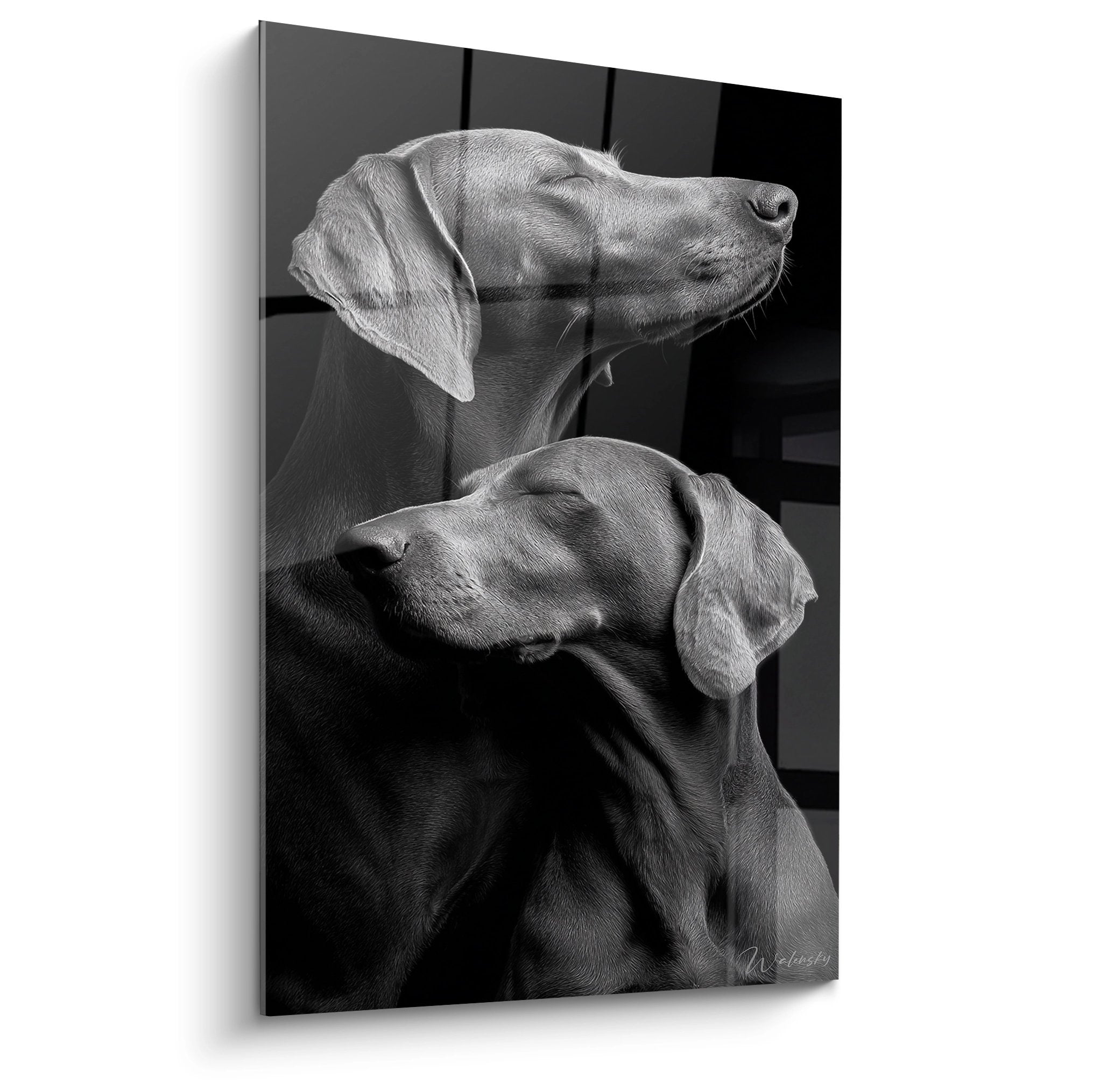 Portrait noir et blanc de deux chiens Weimaraner en complicité, composition artistique minimaliste