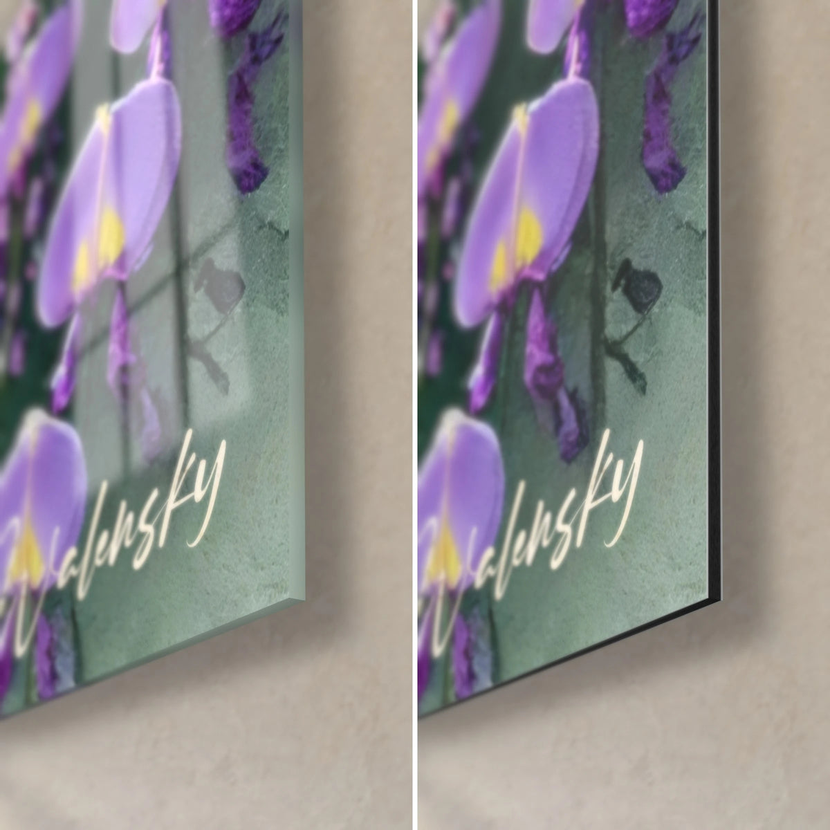 Wall art of wisteria with violet blooms and yellow centers, Walensky signature, glossy glass and matte Dibond aluminum in the bottom right corner