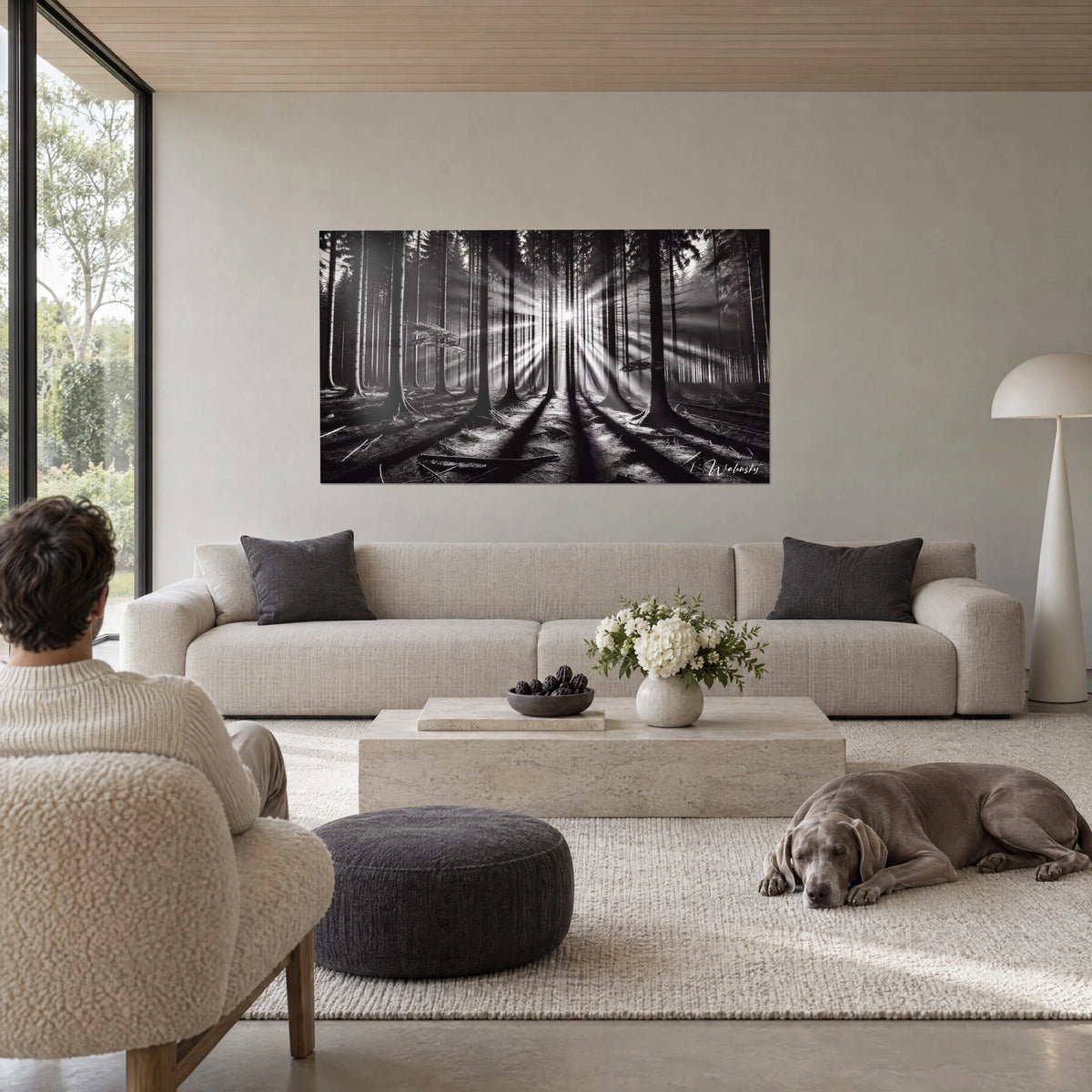 Quadro foresta di abeti in bianco e nero, raggi di luce bianca tra tronchi scuri, Weimaraner grigio, sopra un divano in un soggiorno luminoso
