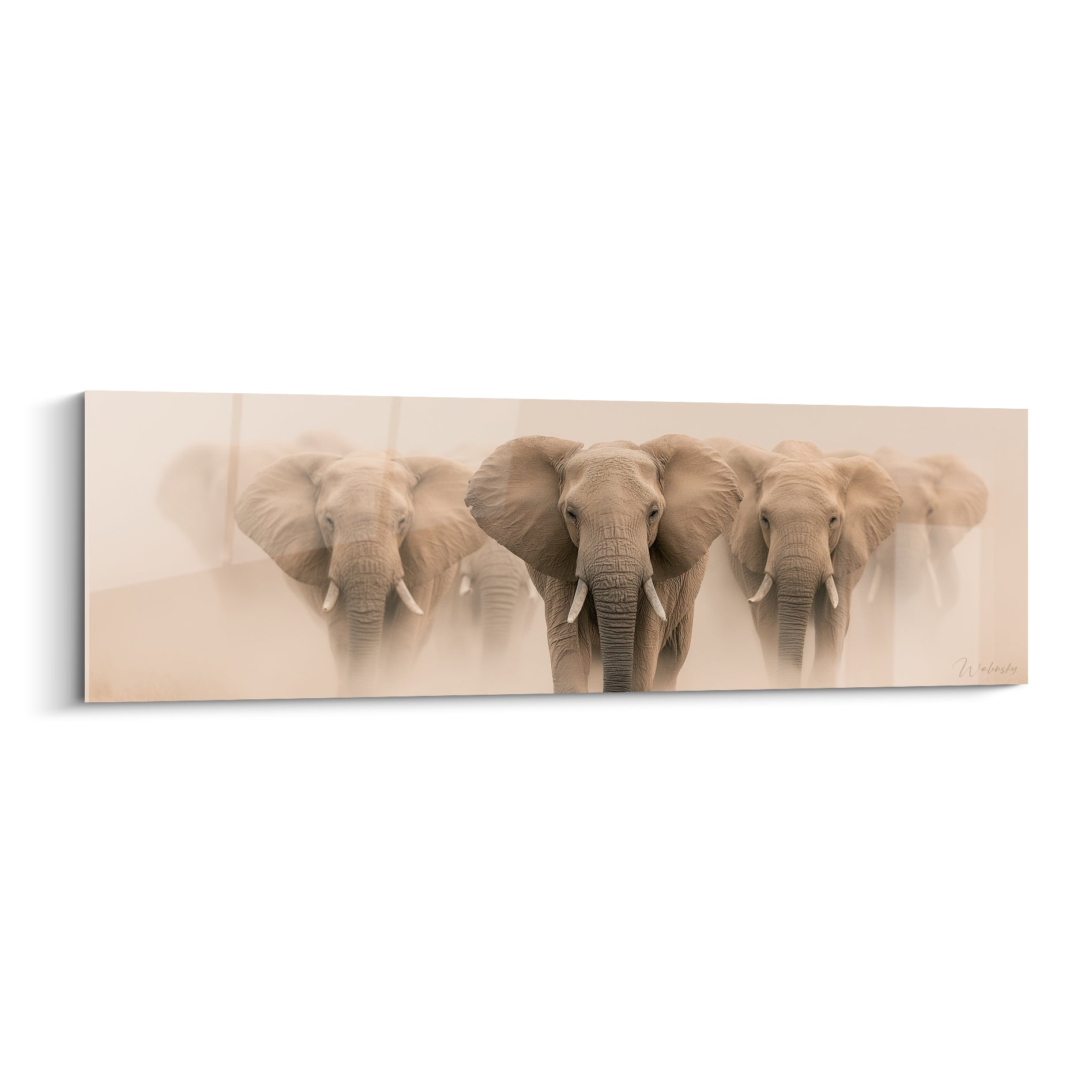 Troupeau d'éléphants gris et beige avançant dans une brume dorée, regard frontal intense