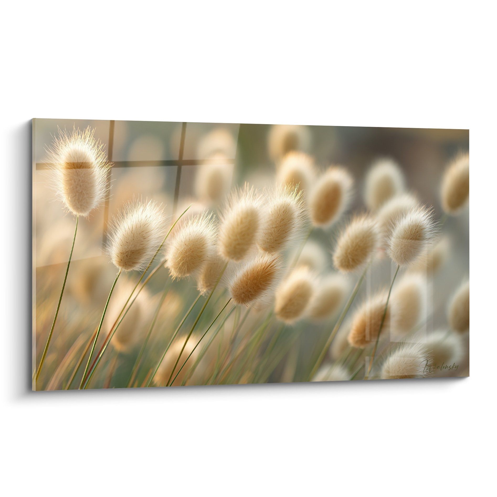 Golden wheat ears grasses soft light copper beige natural rustic autumn tones