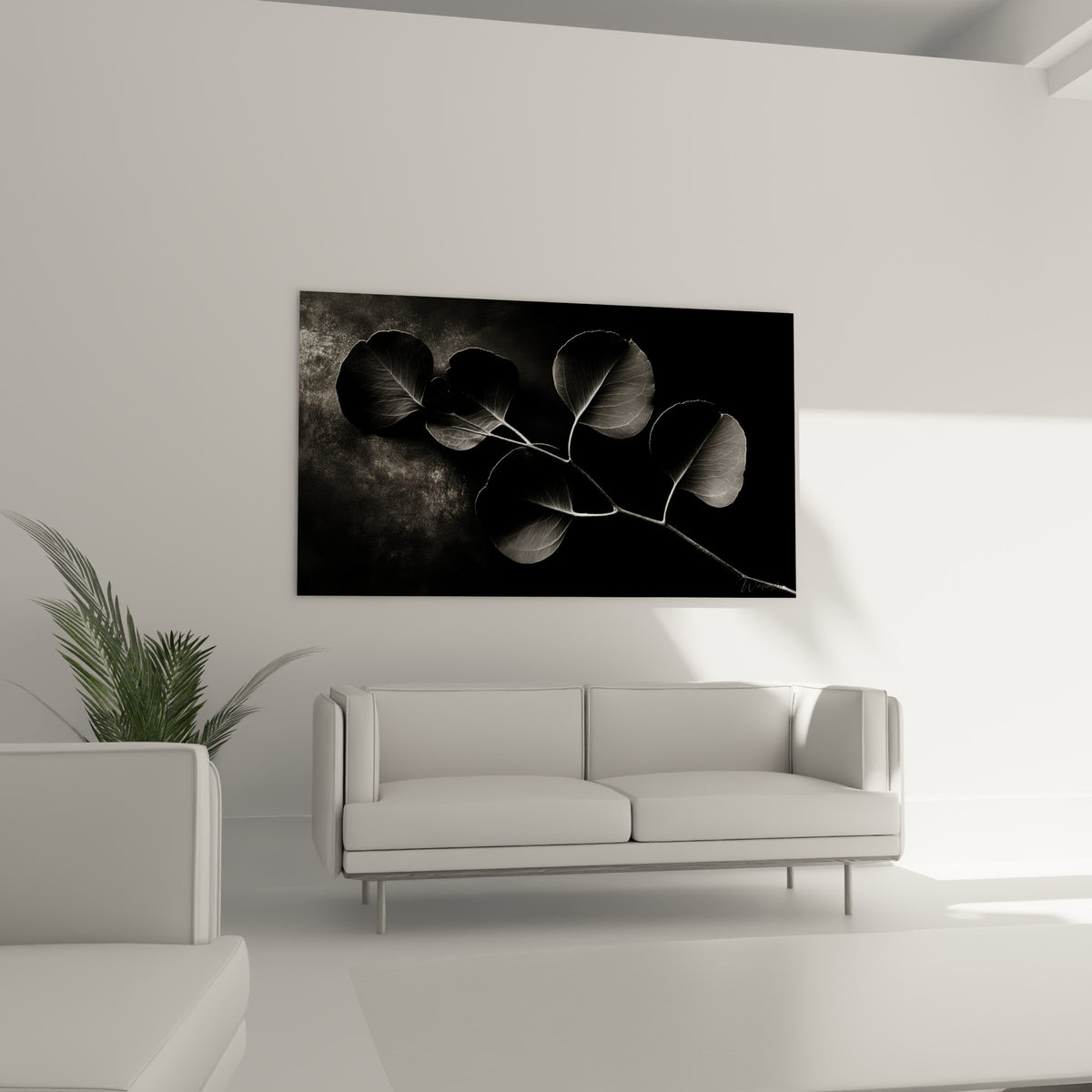 Rameau d'eucalyptus anthracite et blanc en clair-obscur, disposé au-dessus d'un canapé dans un salon lumineux