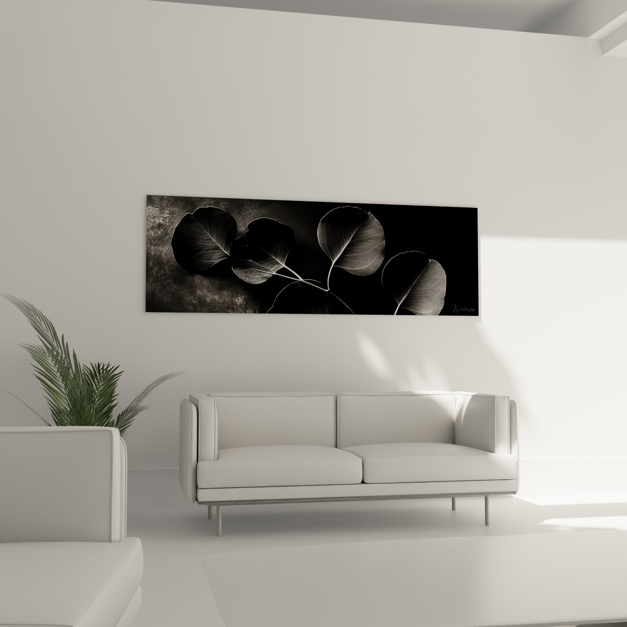 Eucalyptus aux tons gris et blanc accroché au-dessus d'un canapé dans un salon lumineux