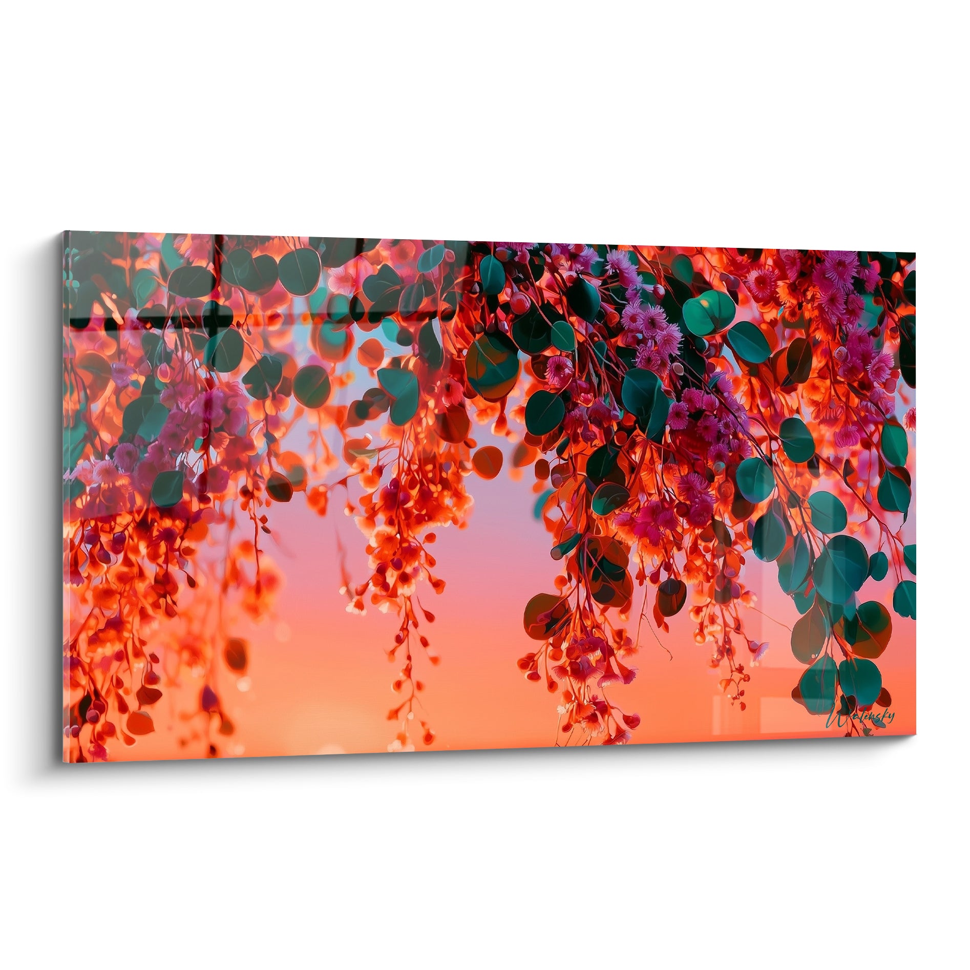 Eucalyptus aux feuilles vert émeraude et fleurs roses suspendues sur fond orangé lumineux