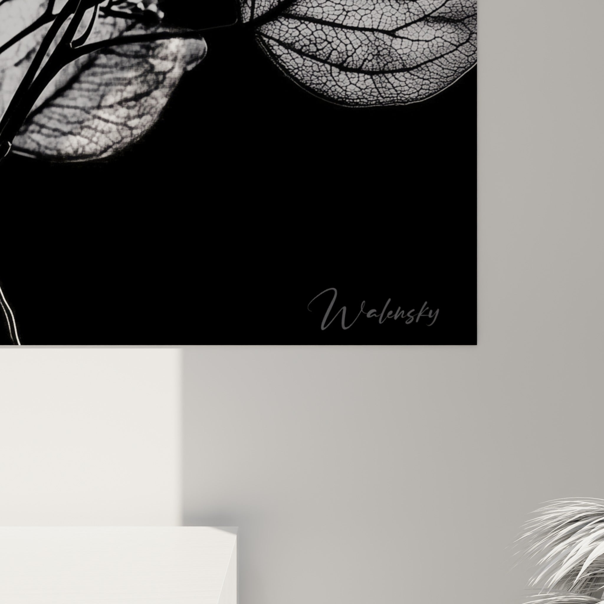 Nervures fines et grain argenté de la feuille d'eucalyptus, contraste noir et blanc en gros plan sur la toile