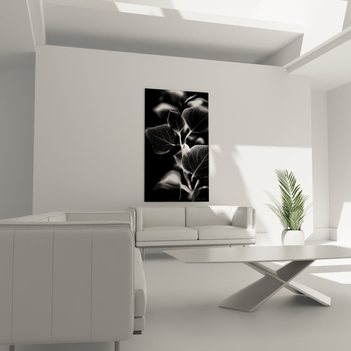 Nervures blanches d'eucalyptus sur fond noir profond au-dessus d'un canapé dans un salon lumineux