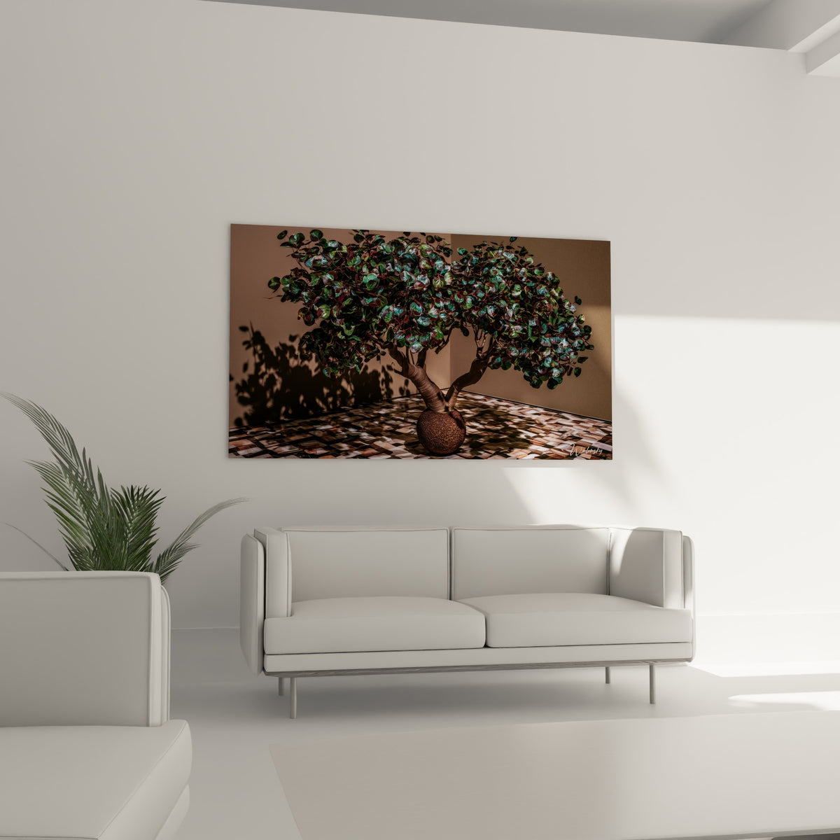 Bonsaï Eucalyptus vert bleuté et pot terracotta accroché au-dessus d'un canapé dans un salon lumineux
