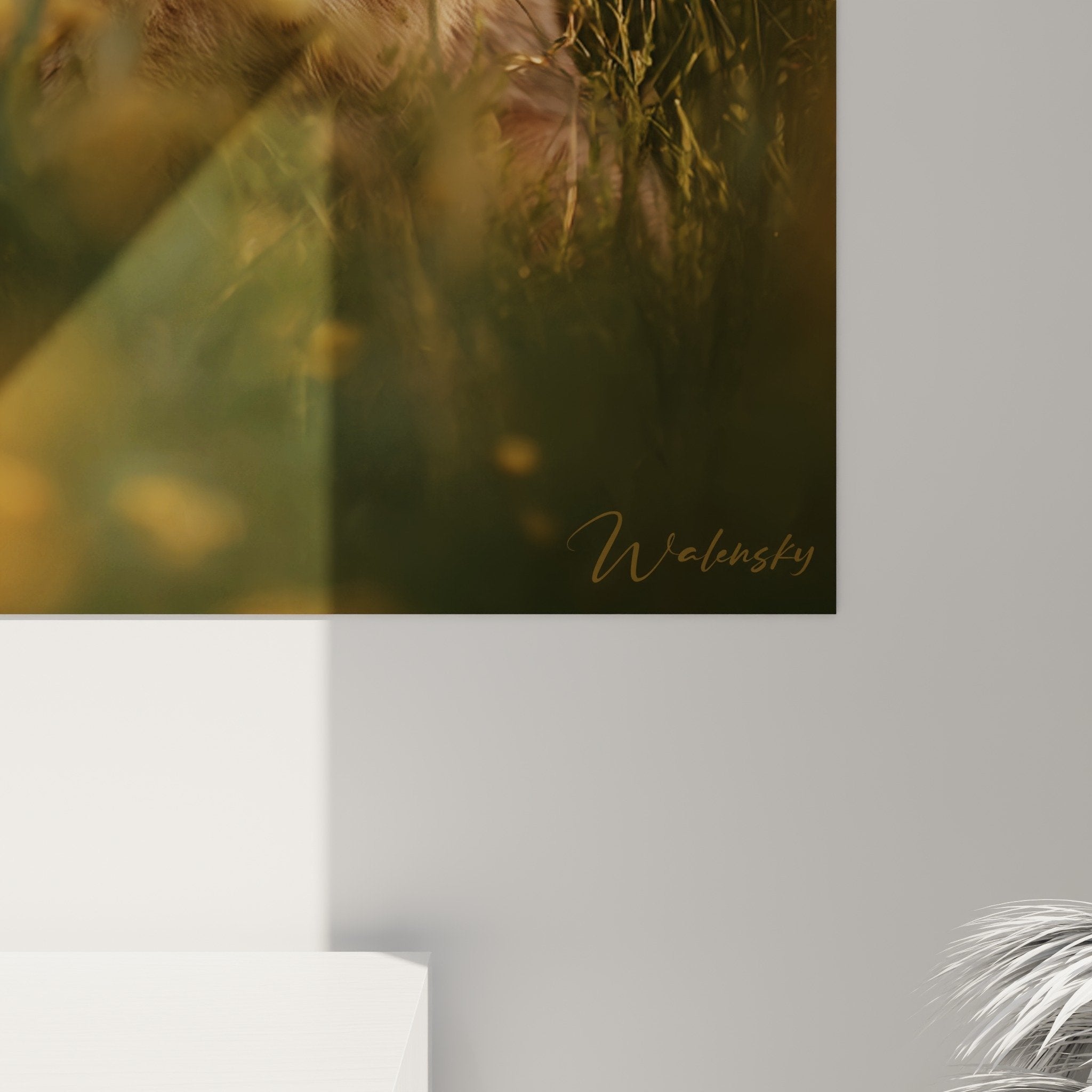Gesamtansicht Eurasier Wiese Landschaftsbild Wanddekoration warme Töne