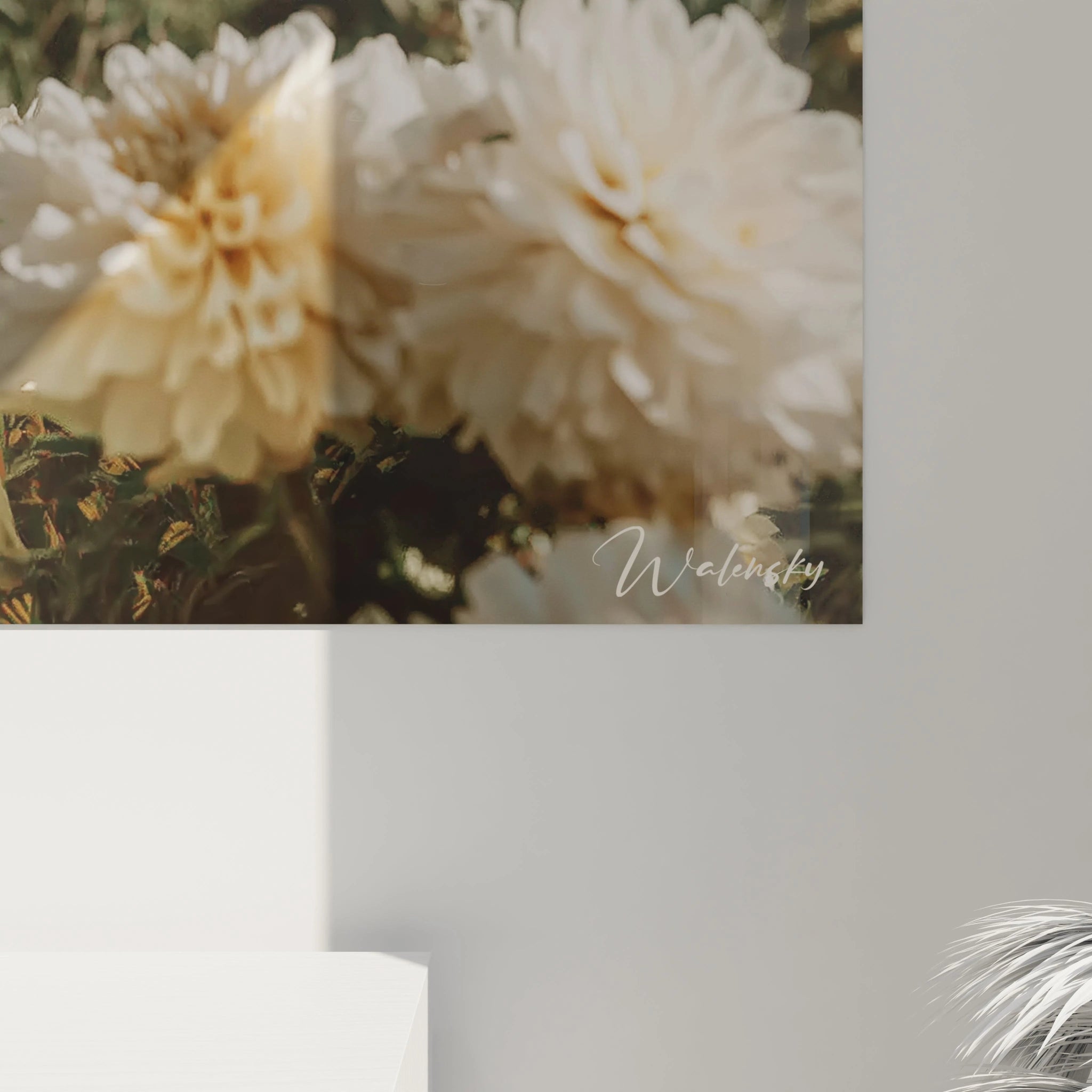 tableau femme fleurs blanches Walensky photo macro de fleurs blanches crème accrochée sur mur minimaliste