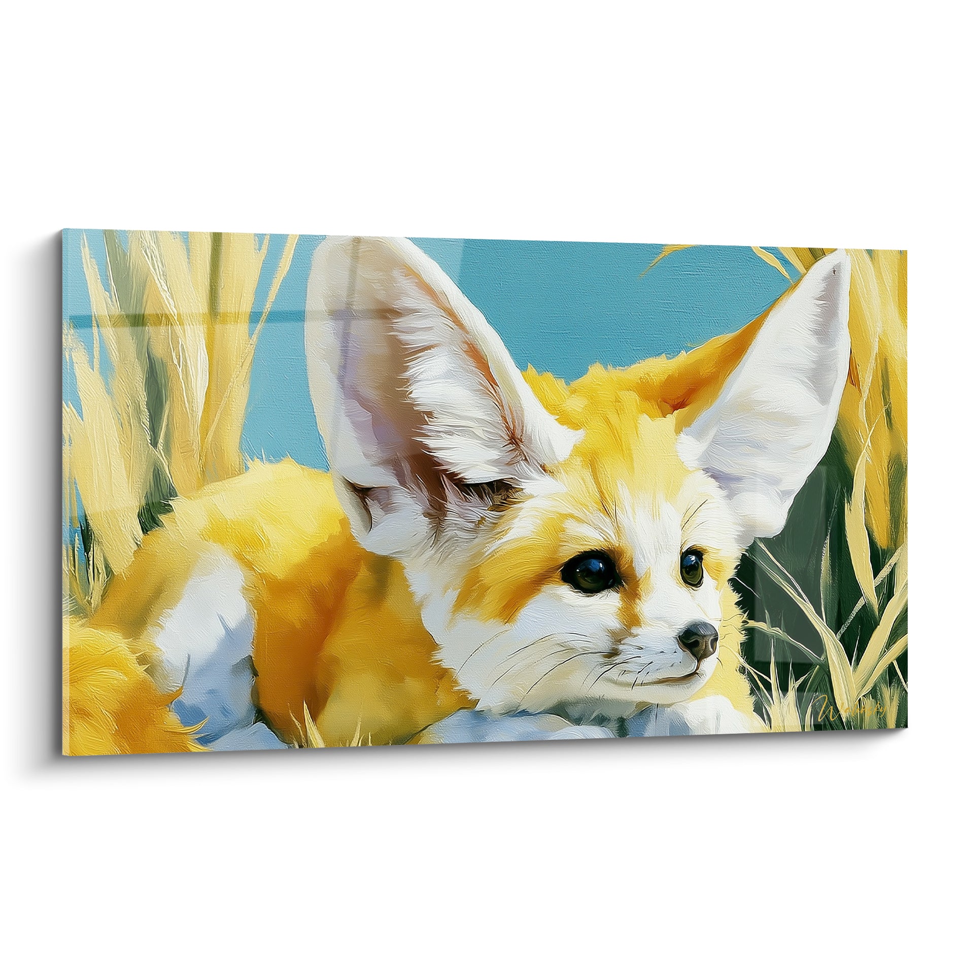 Fennec au pelage doré et blanc, oreilles dressées, allongé dans des herbes sèches sous ciel bleu