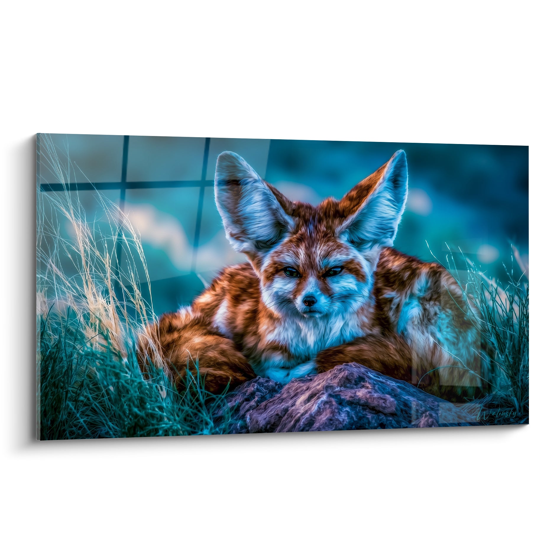 Fennec roux et blanc couché, oreilles dressées, sur fond bleu nuit texturé et herbes sèches