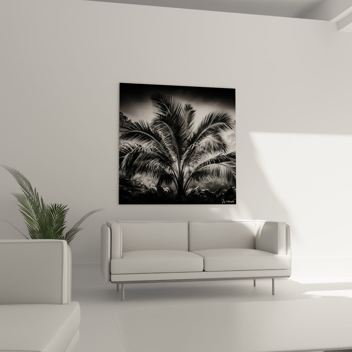 Frondes sombres et lumineuses d'un palmier photographié, tableau accroché au-dessus d'un canapé dans un salon lumineux